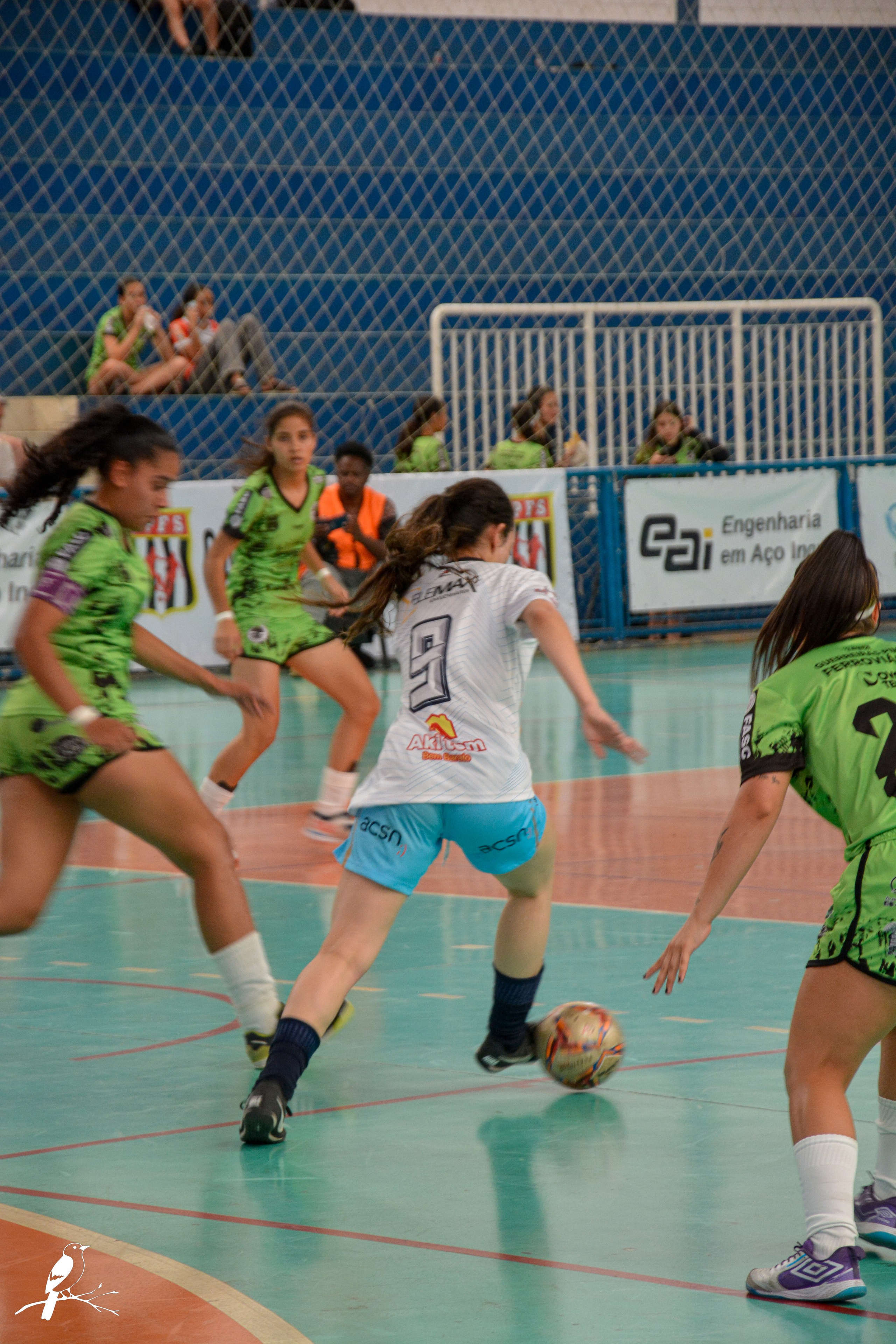 EC Hortolandia (Sub 18 — Sub 16). AerobirdStudios