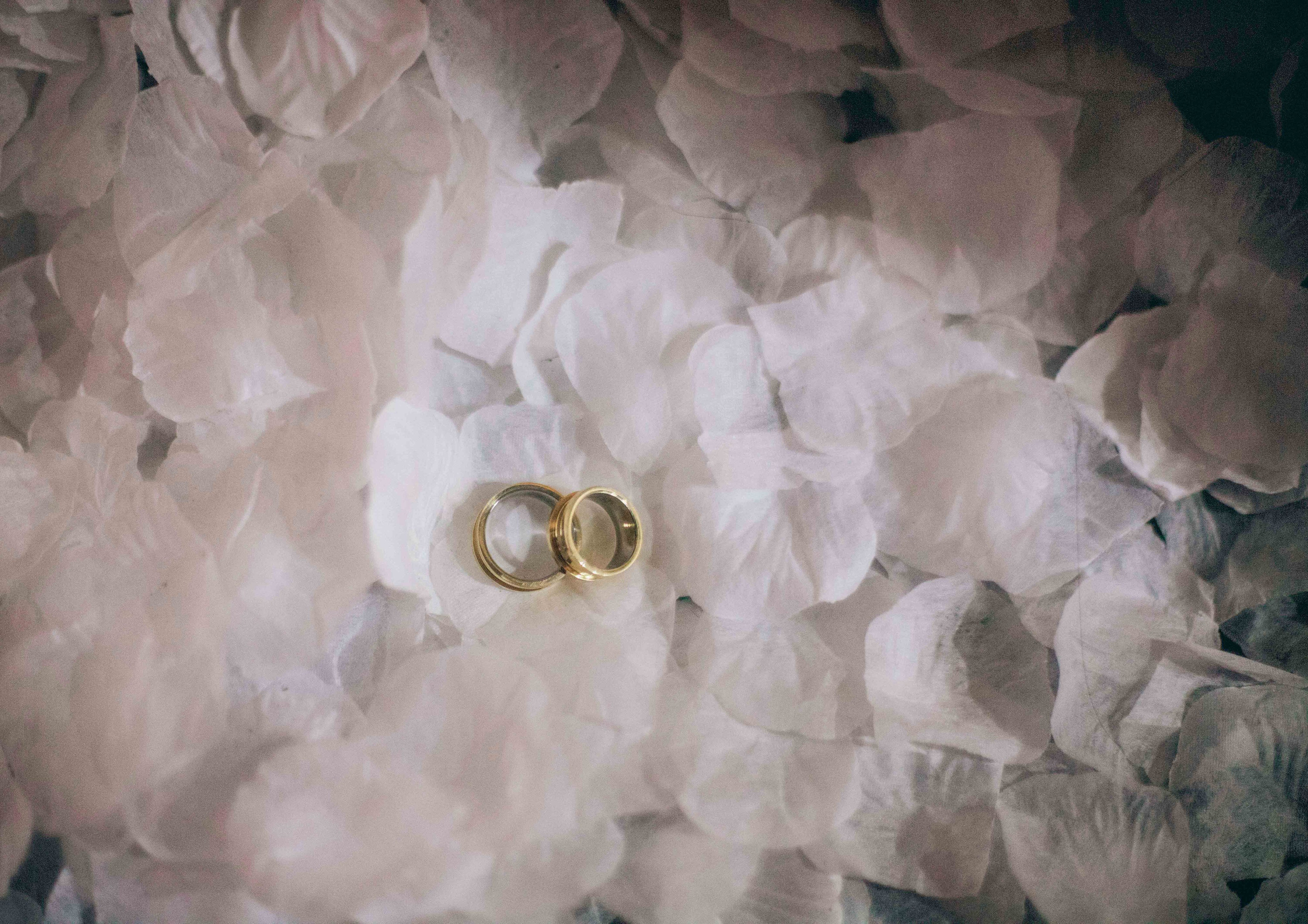 Casamentos. Fotógrafo de Ensaios e Casamento em Florianópolis I Patrik Vanin