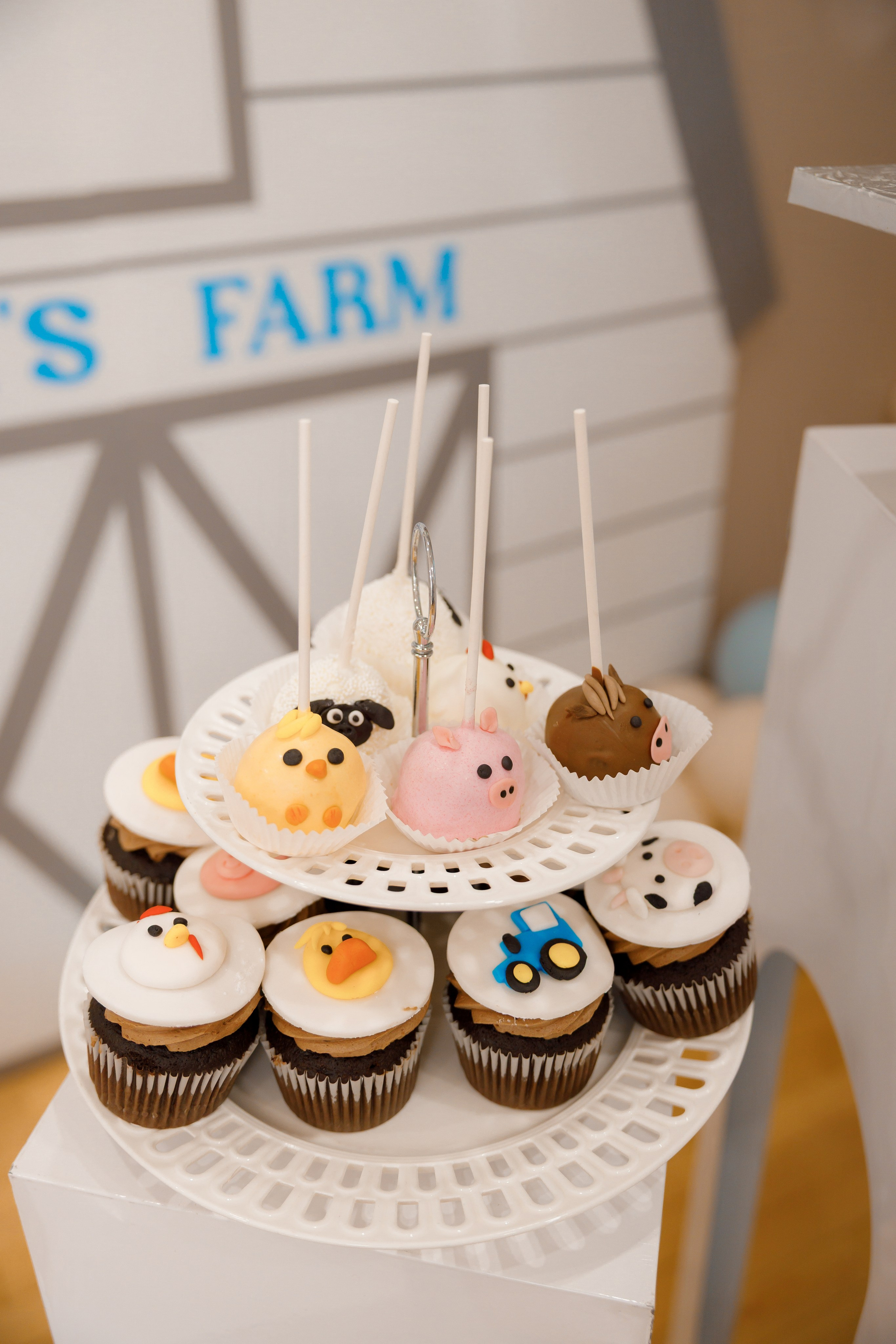 Fateh’s 1st birthday. Photographer Elvira Hryshchenko