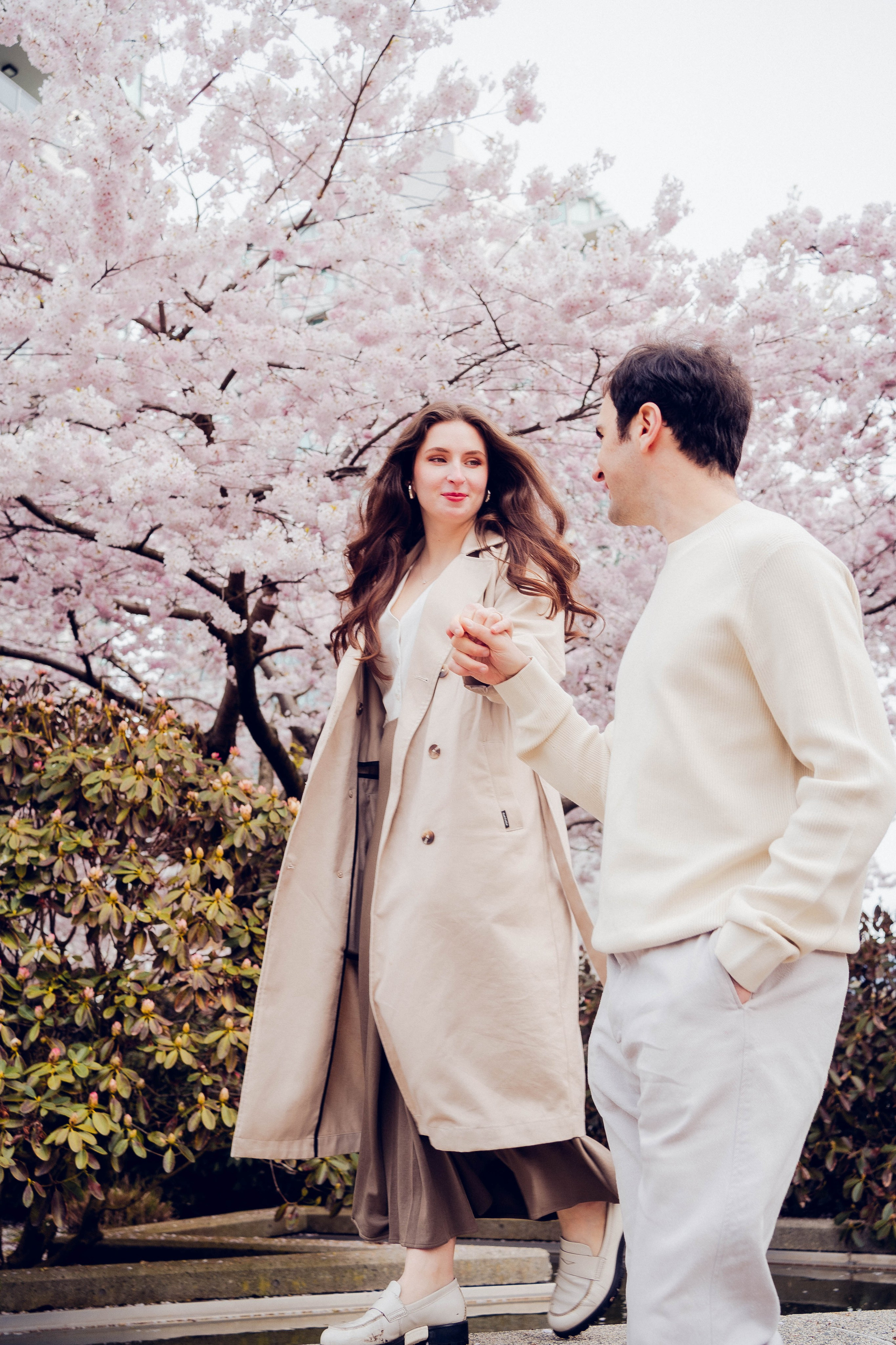 Cherry blossom. Photographer Lana