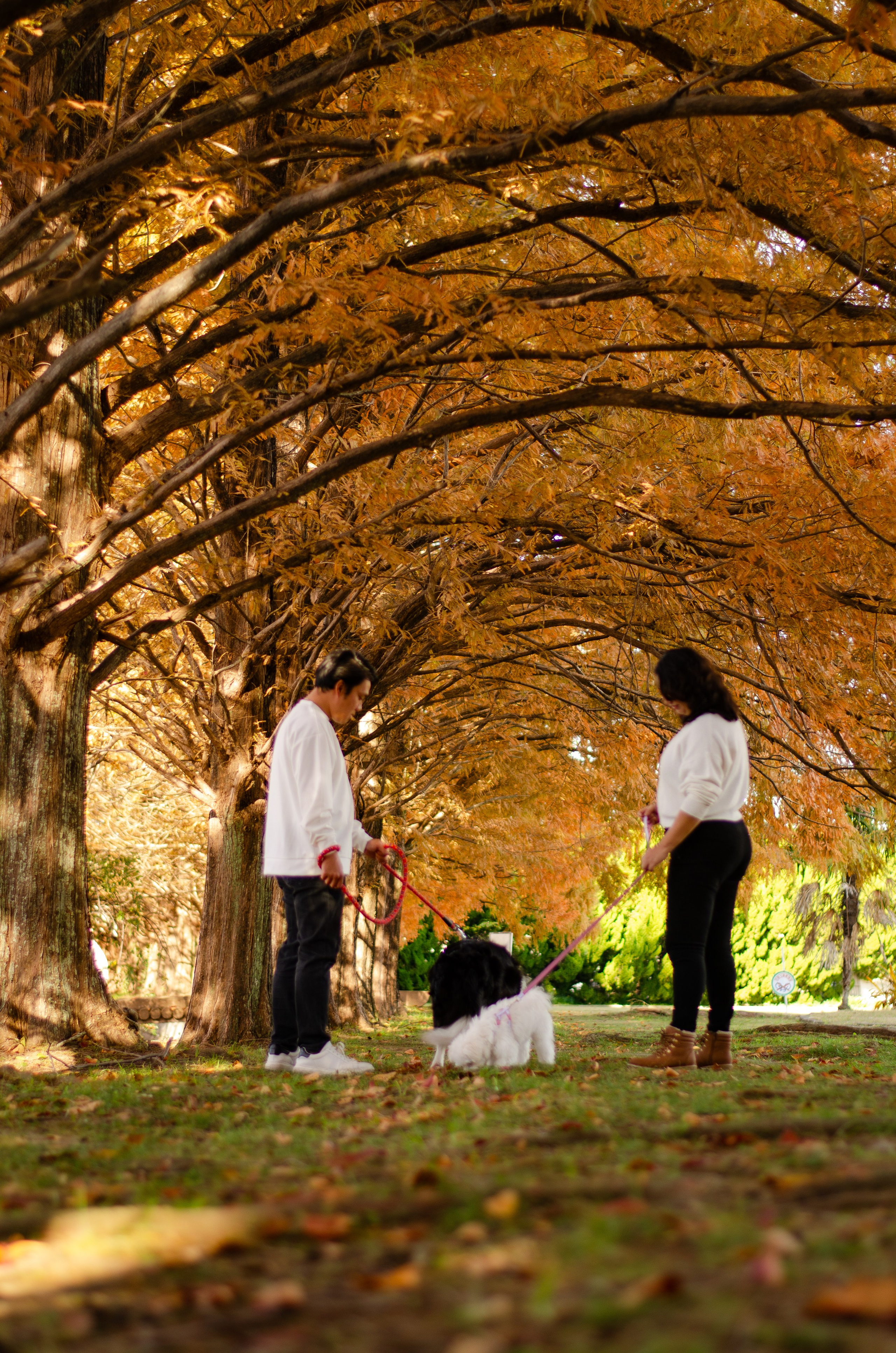 Autmn Season Family. LunarVox Lens: a lente que transforma luz em voz e emoção. Retratos e ensaios no Japão por Leyka Tanaka