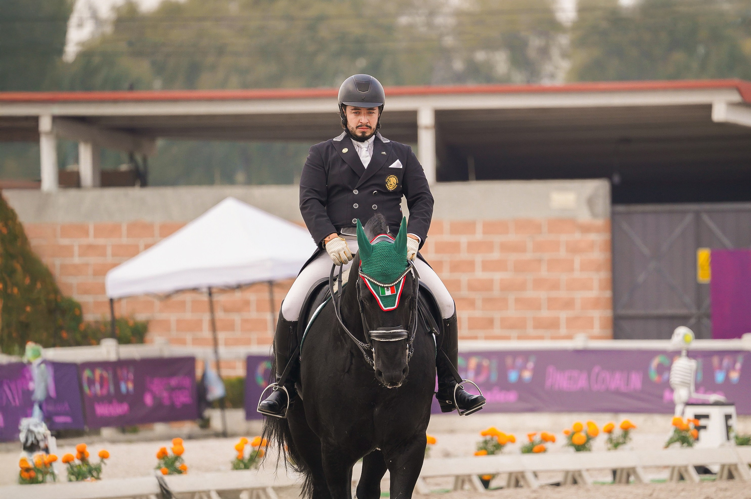 Vacation photoshoot in Mexico City. Capture your trip with a professional photographer. Horse riding dressage doma clasica show jumping Tour. Ekaterina Frolova photography