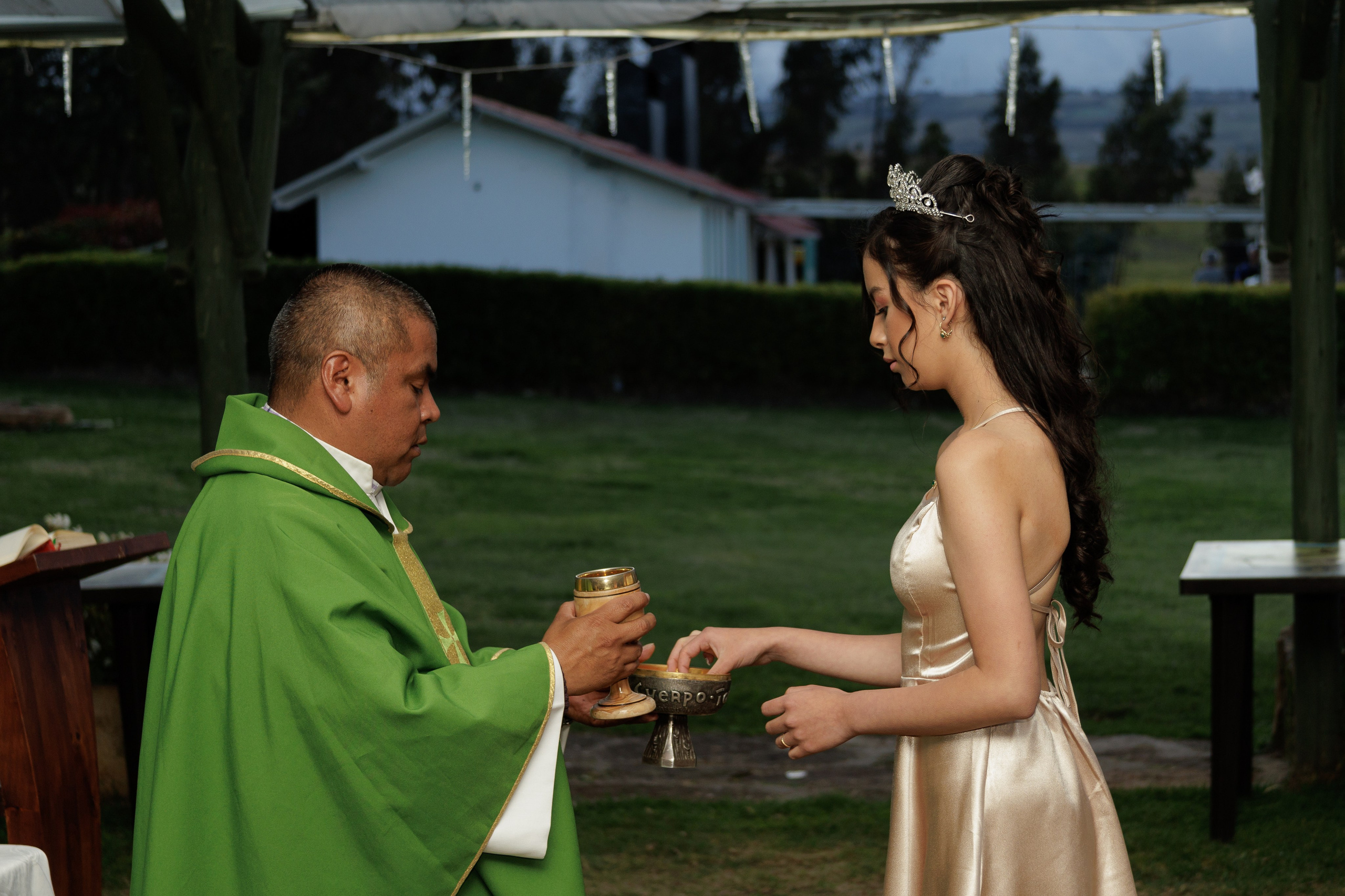 XV MELANY. FOCALMAGIC