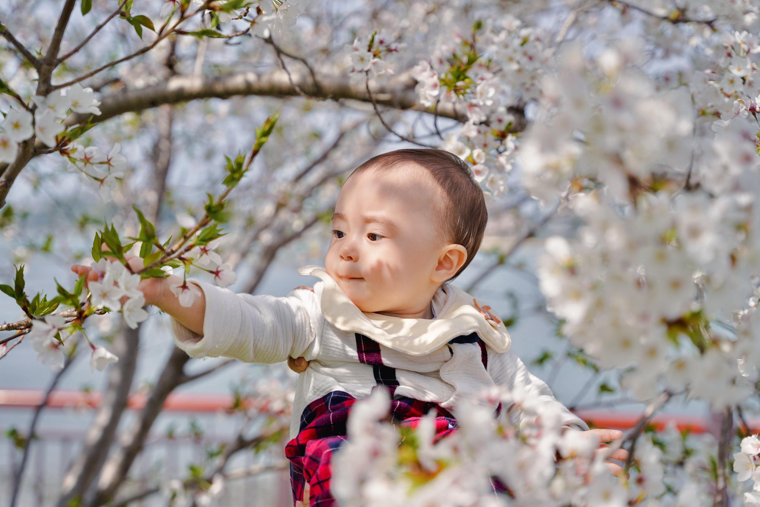 PORTFOLIO. Fukuoka Photographer | Alina Photography | Japan