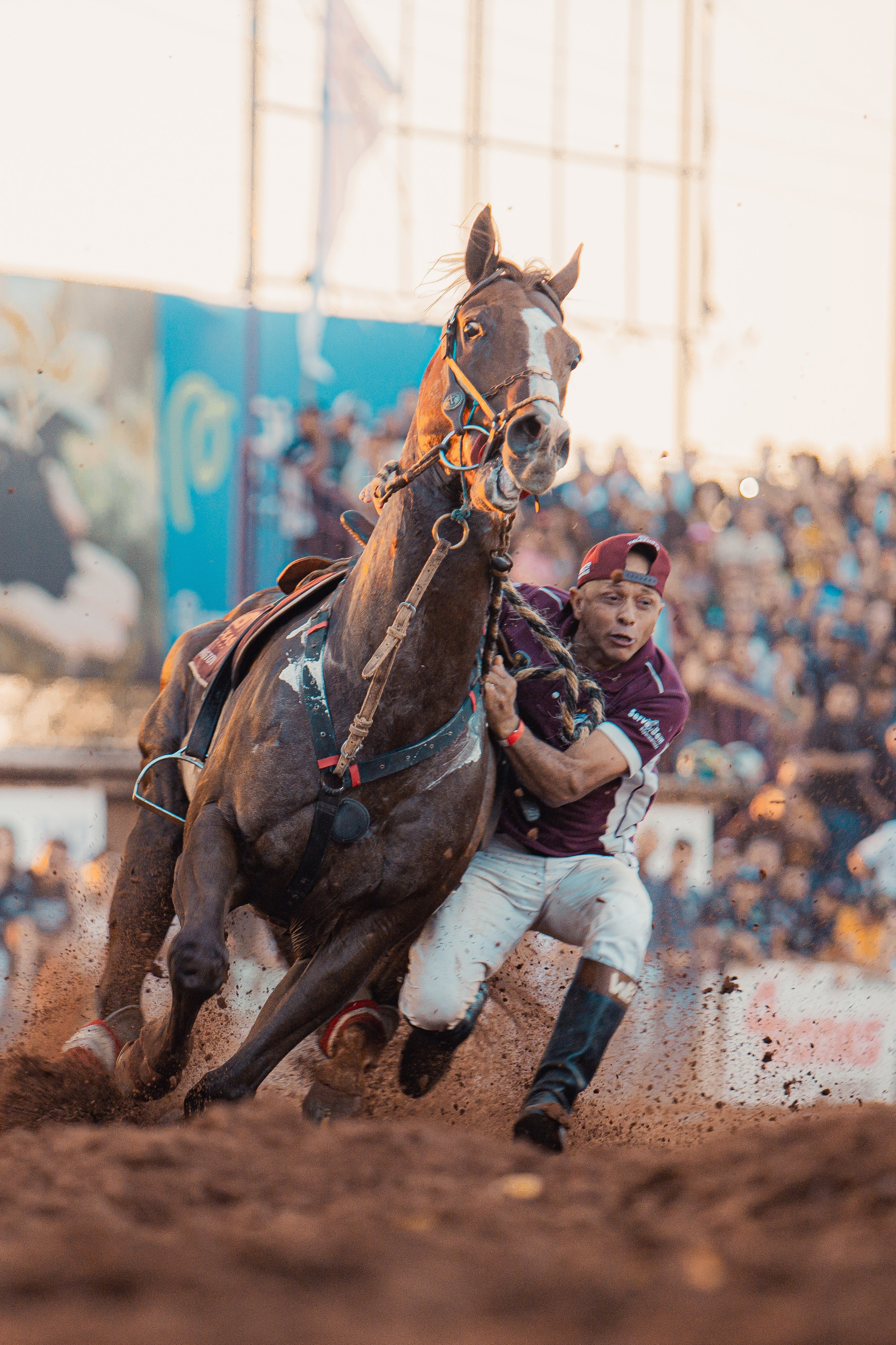 Turfe Horse