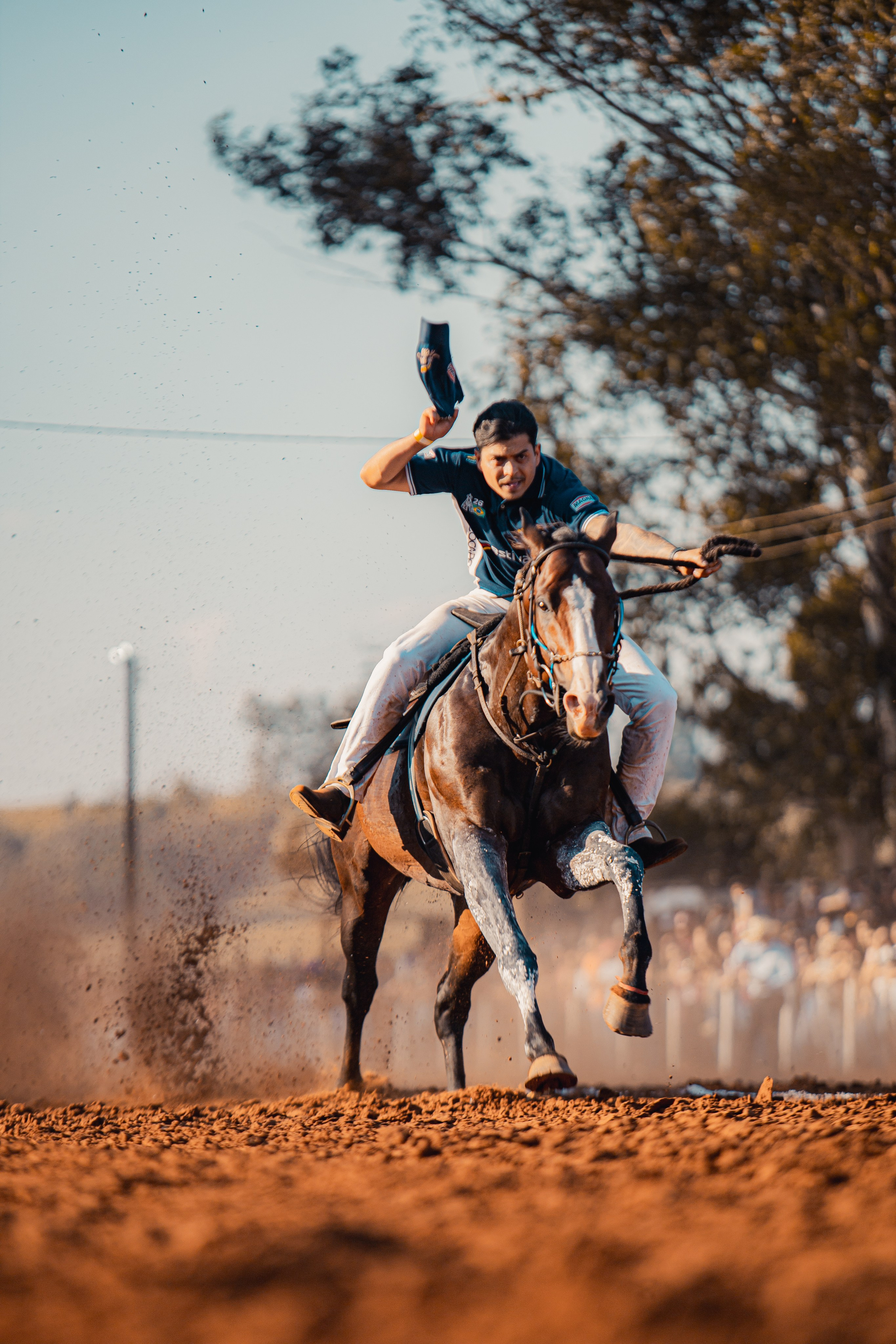 Turfe Horse