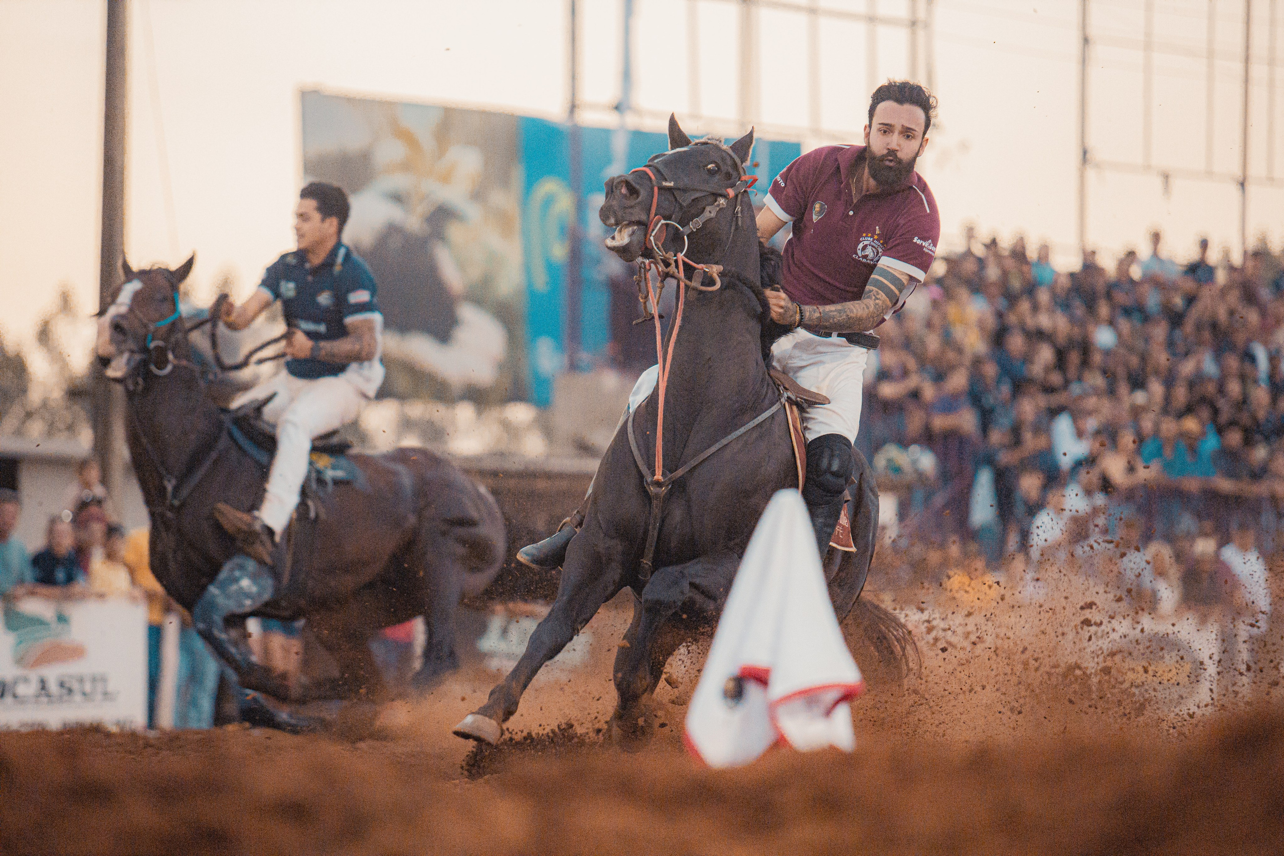 Turfe Horse