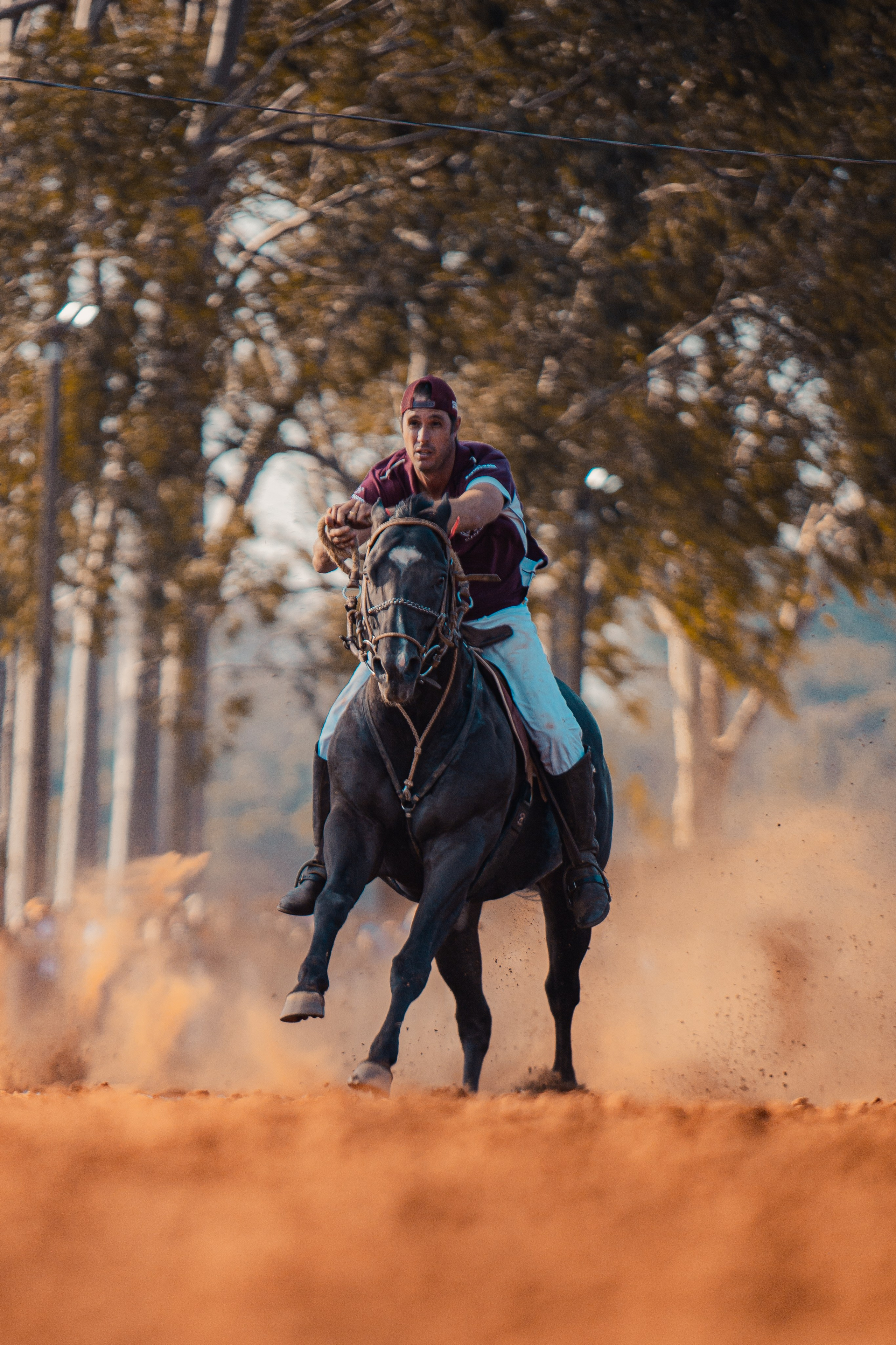 Turfe Horse