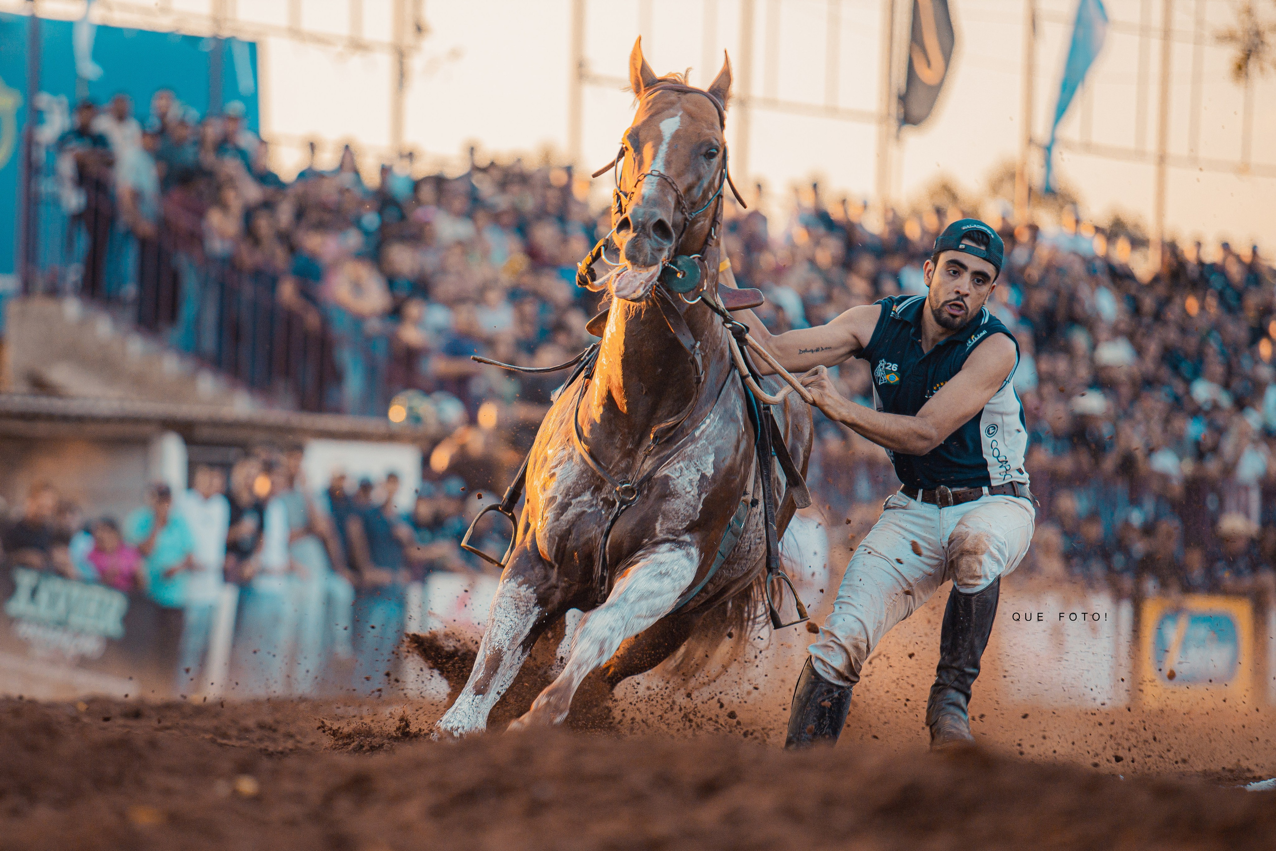 Turfe Horse