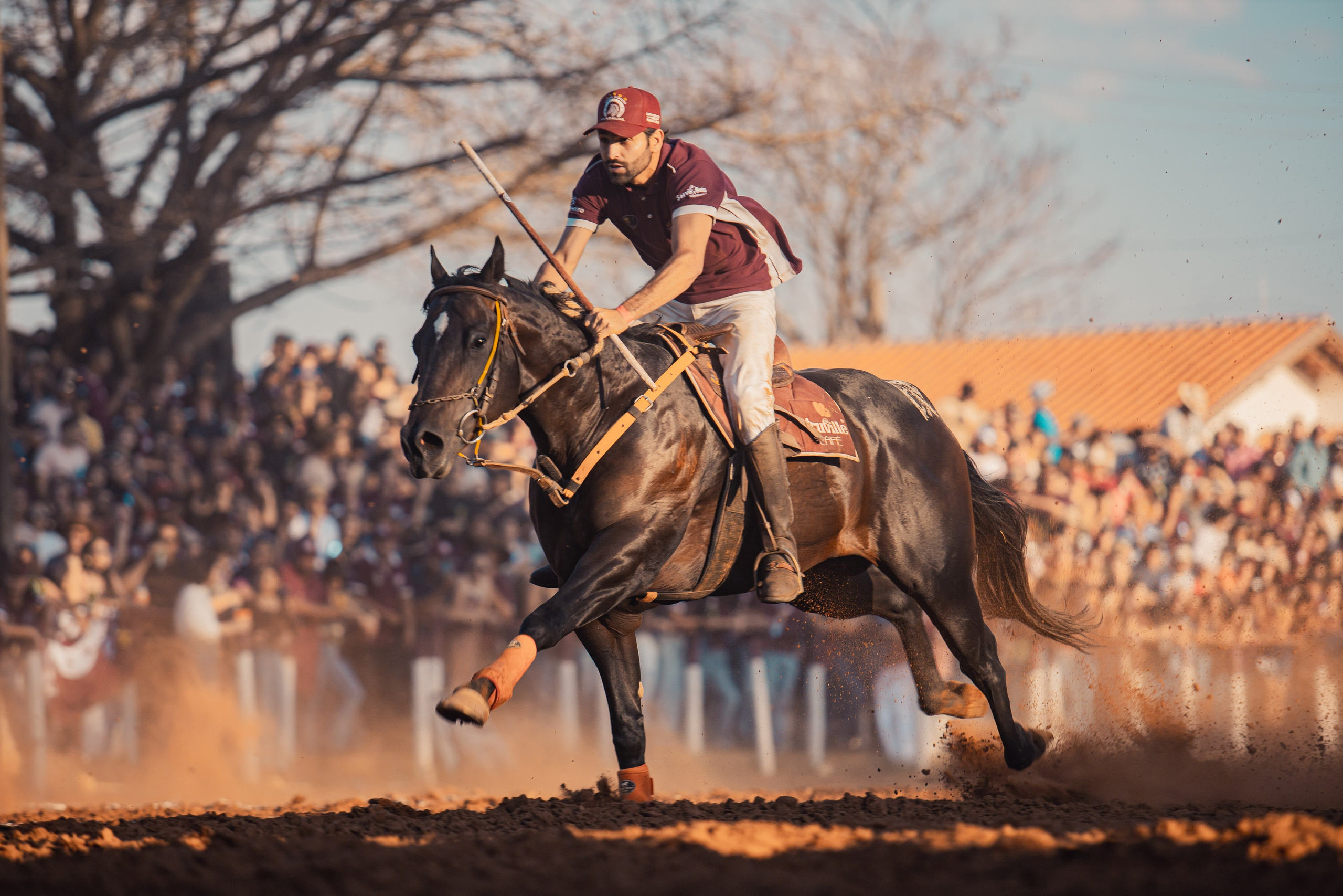 Turfe Horse
