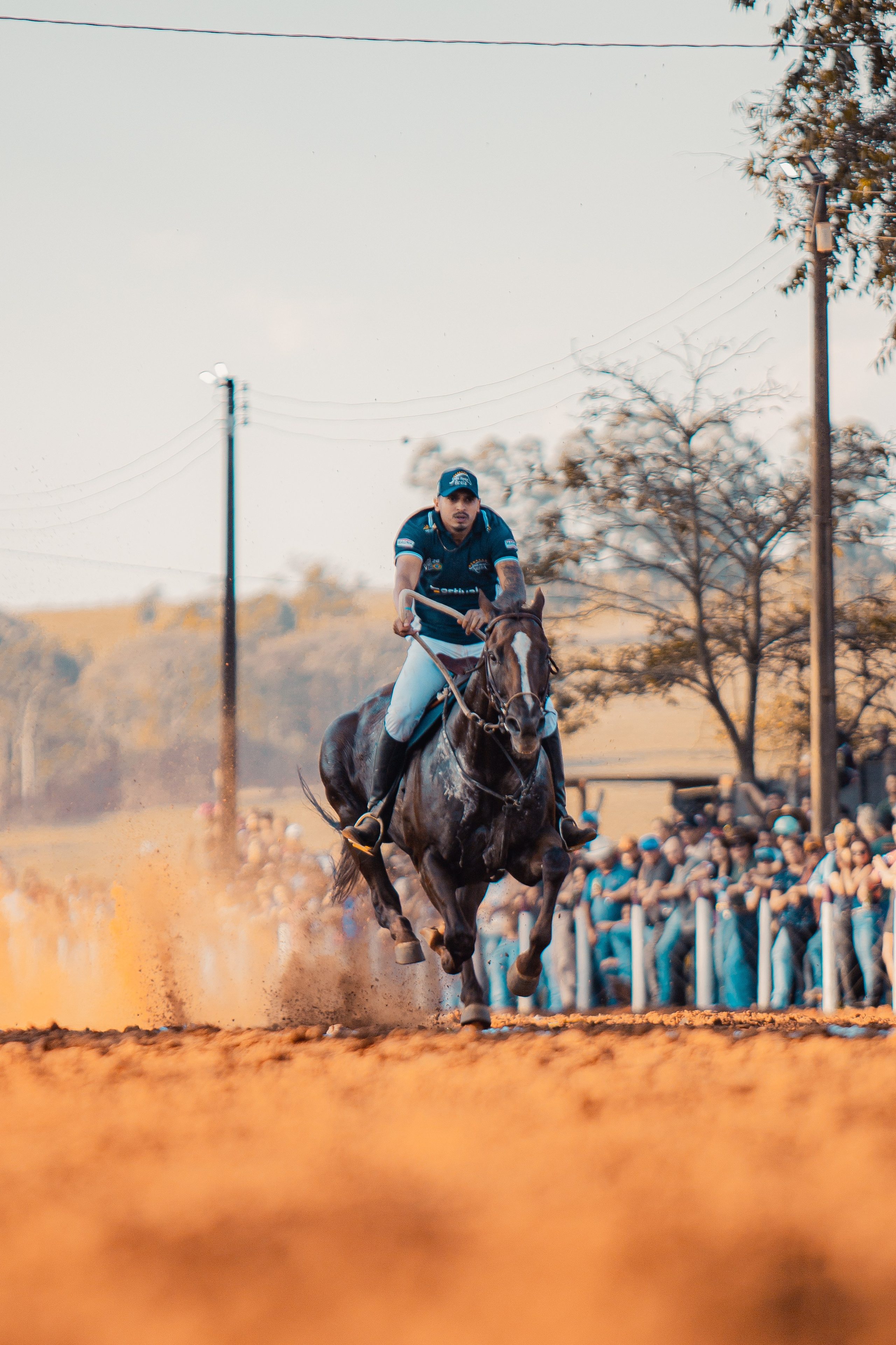 Turfe Horse