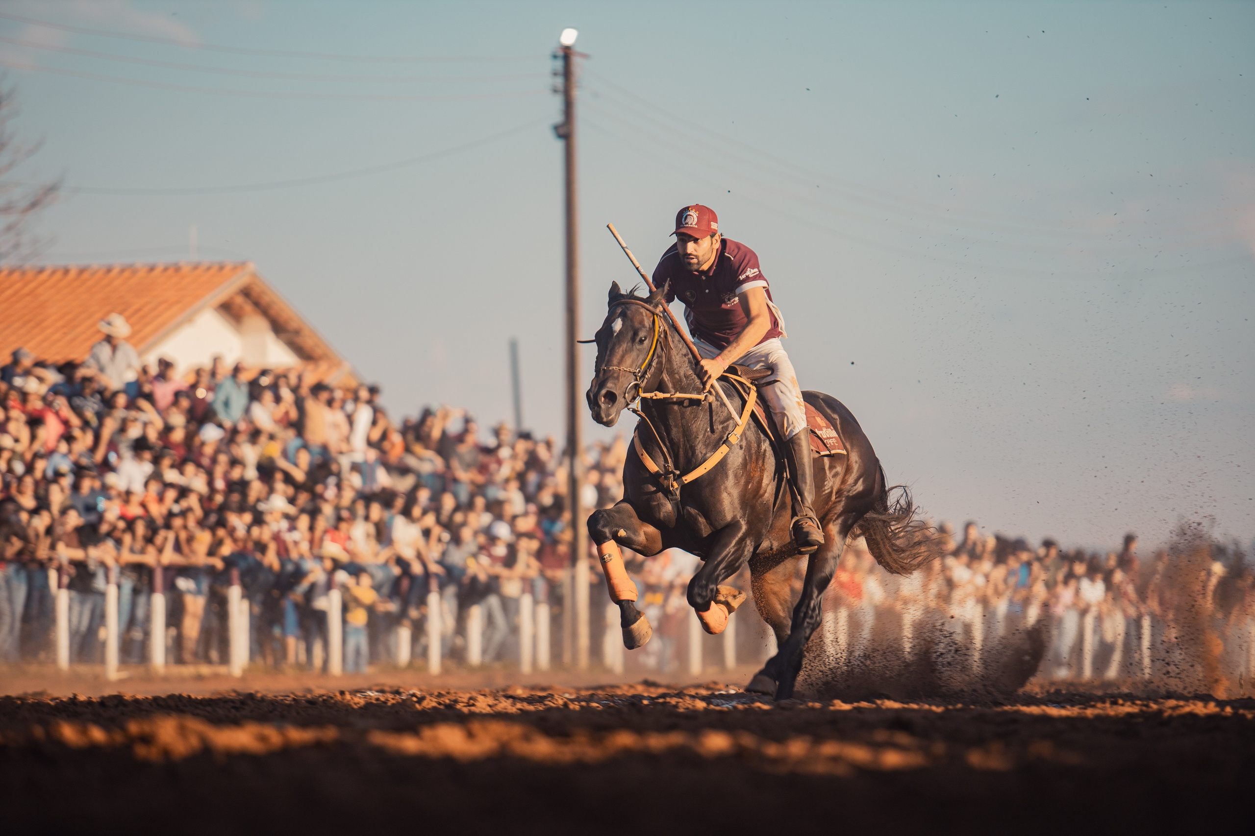 Turfe Horse