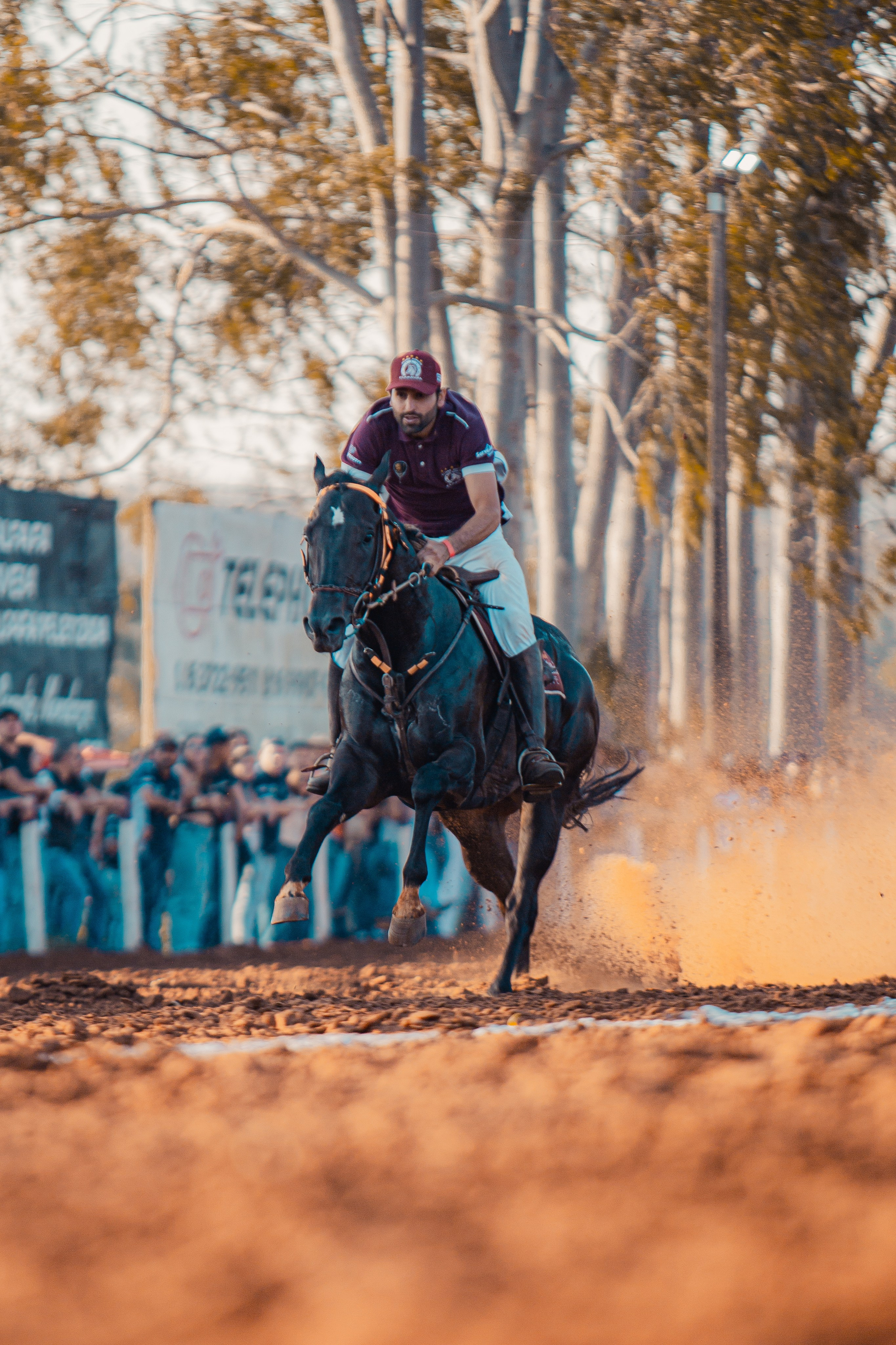 Turfe Horse