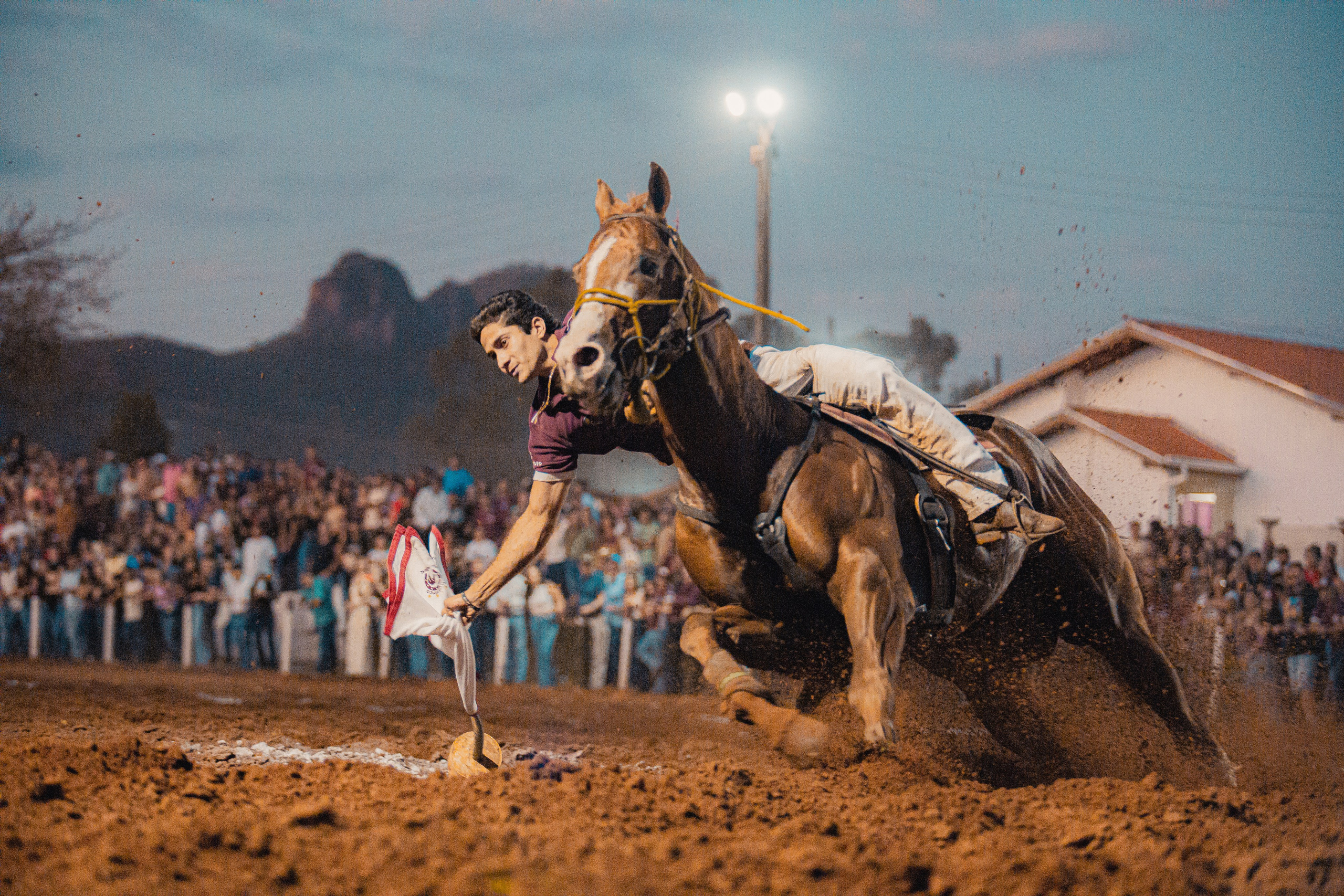 Turfe Horse
