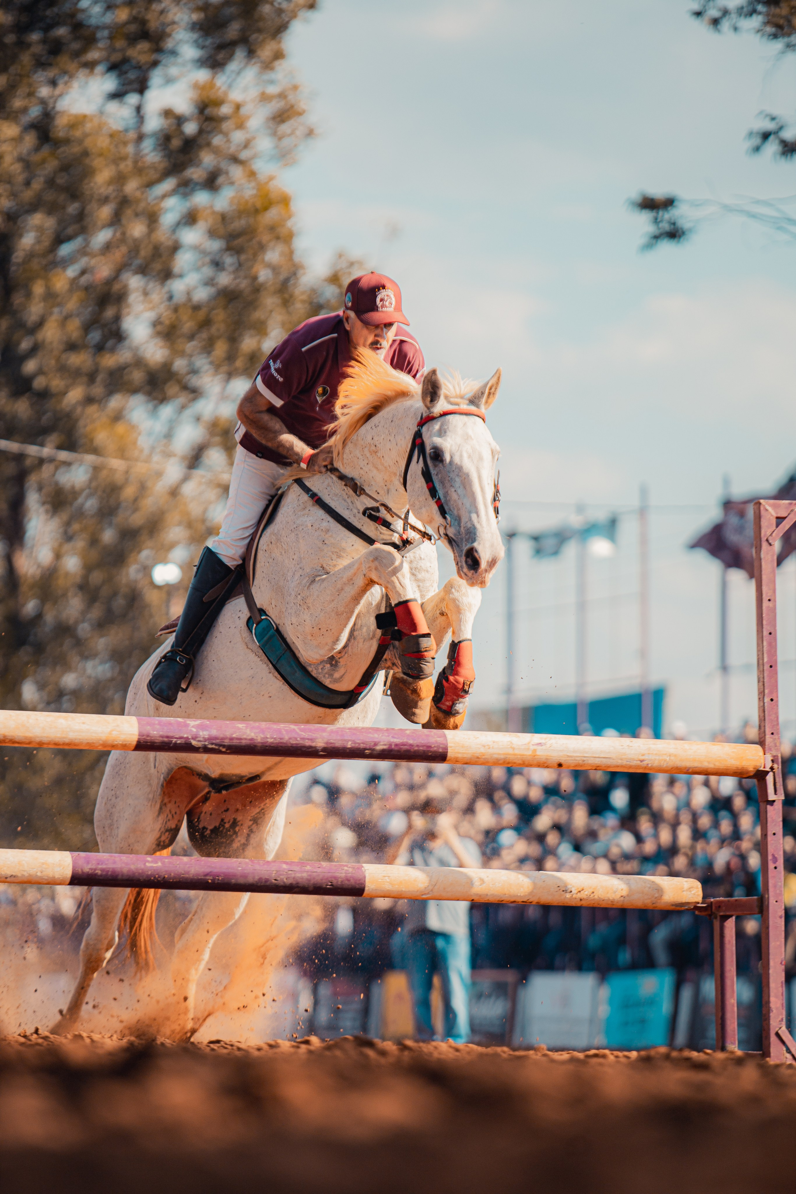 Turfe Horse