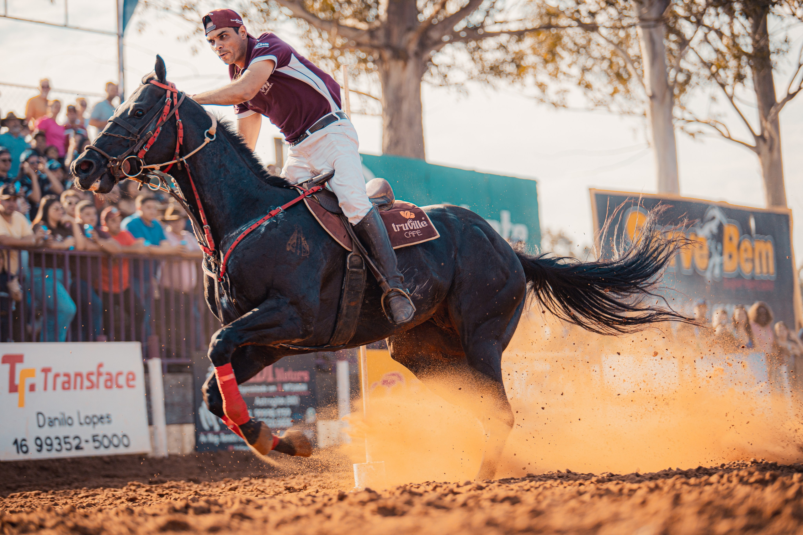 Turfe Horse