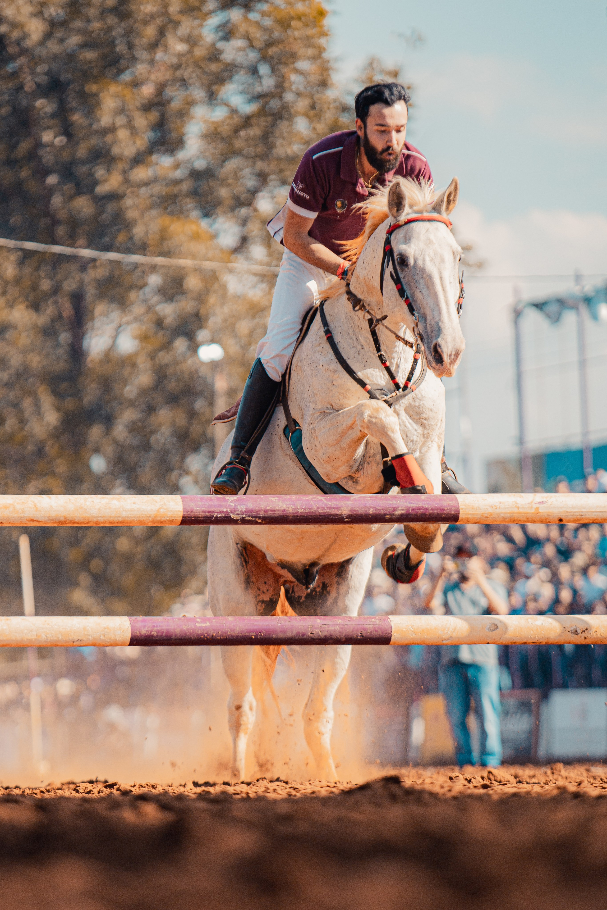 Turfe Horse