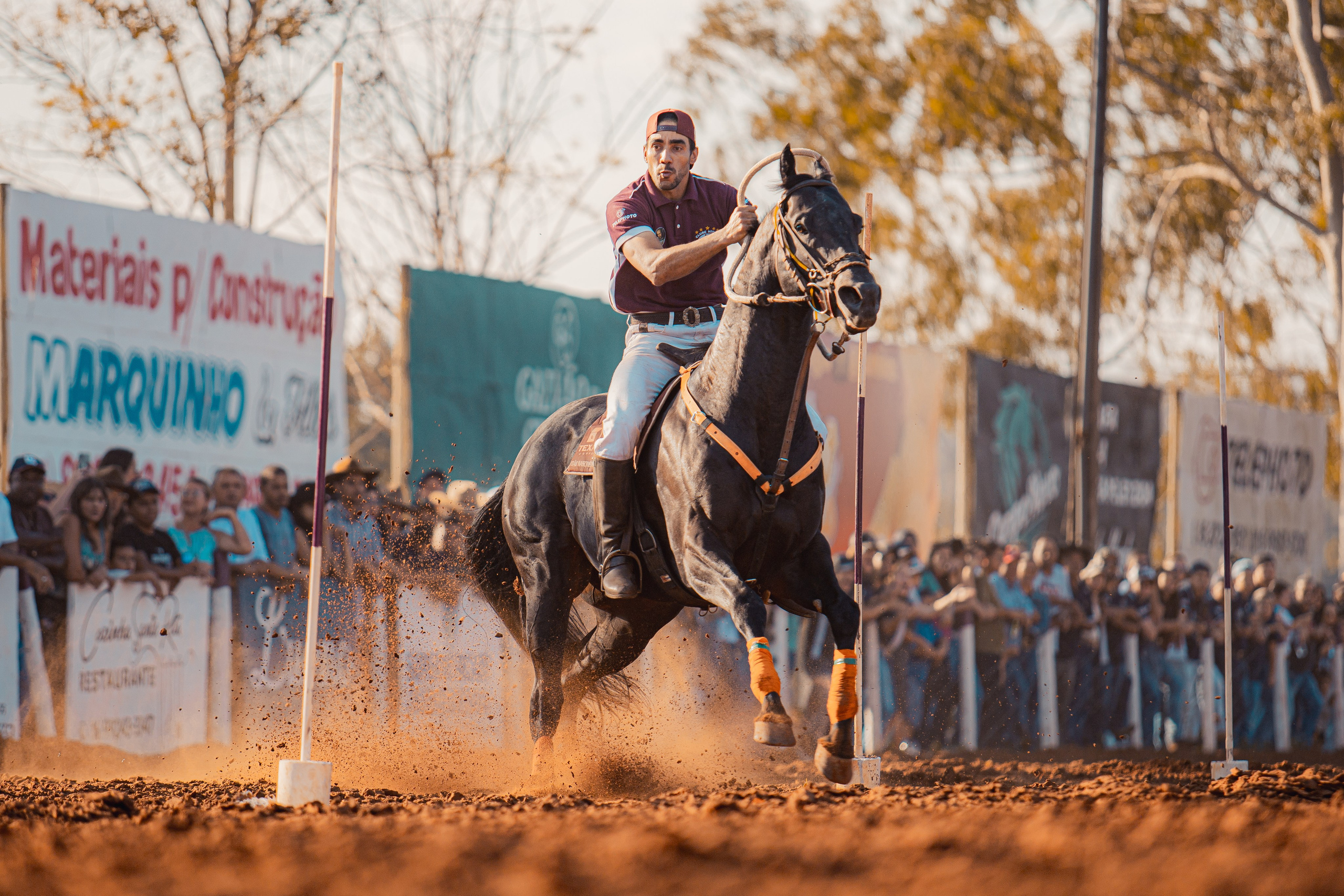 Turfe Horse