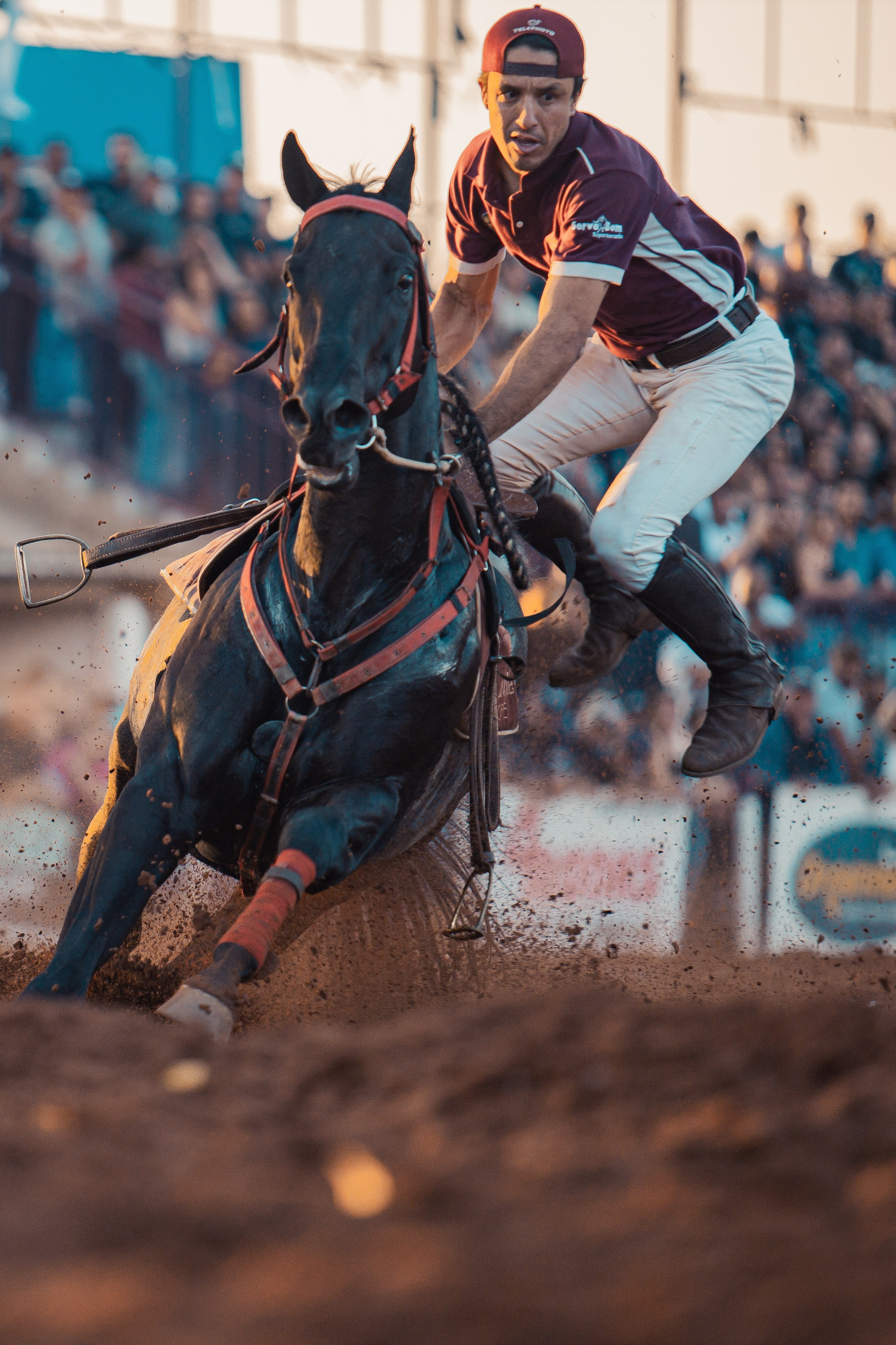 Turfe Horse