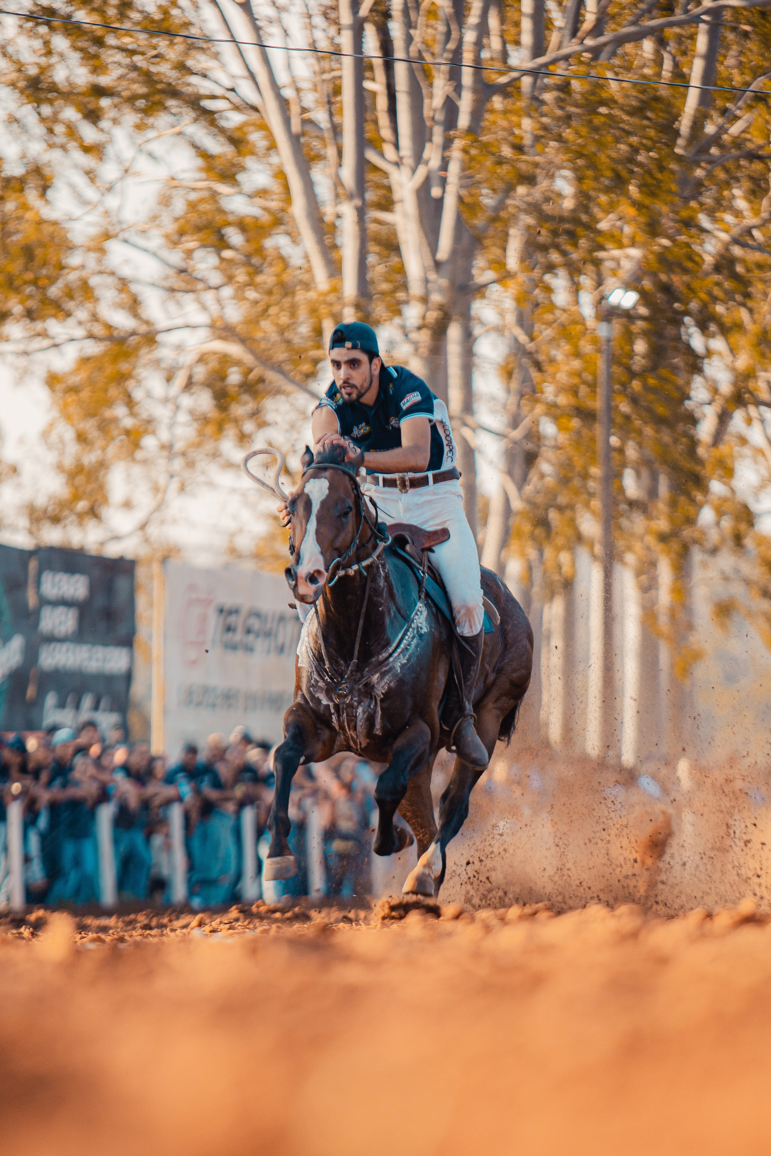 Turfe Horse