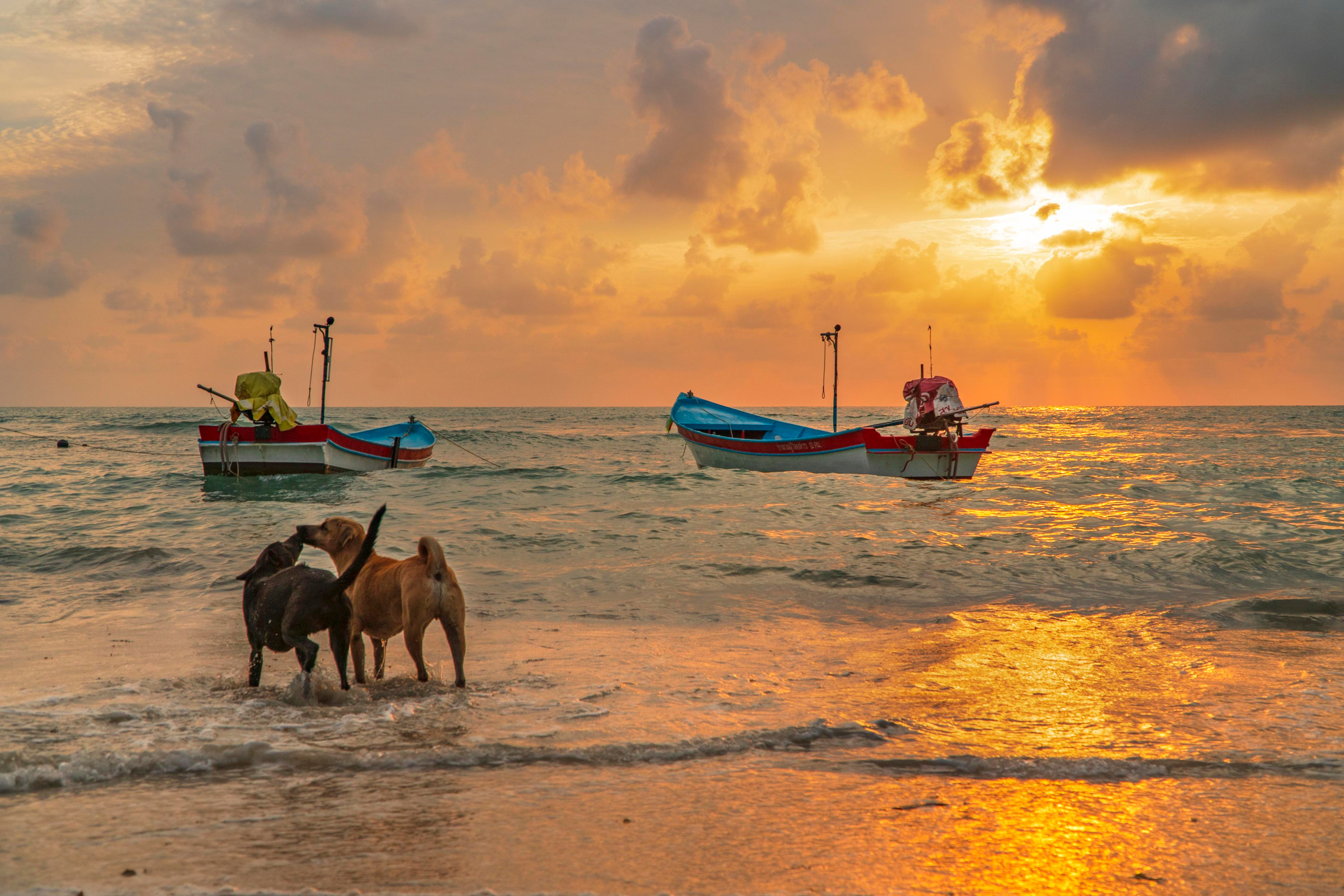 Thailand | Pangan