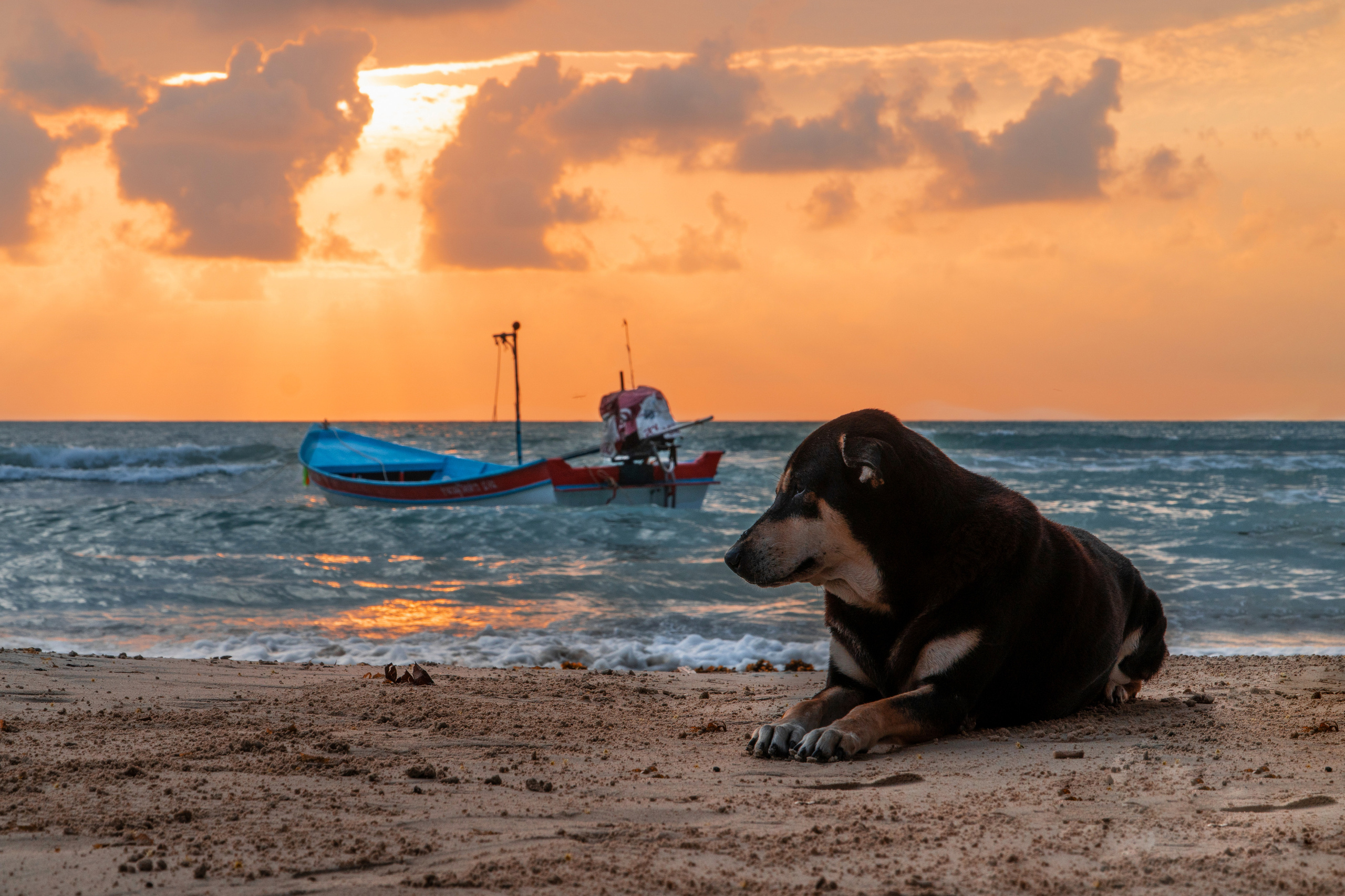 Thailand | Pangan