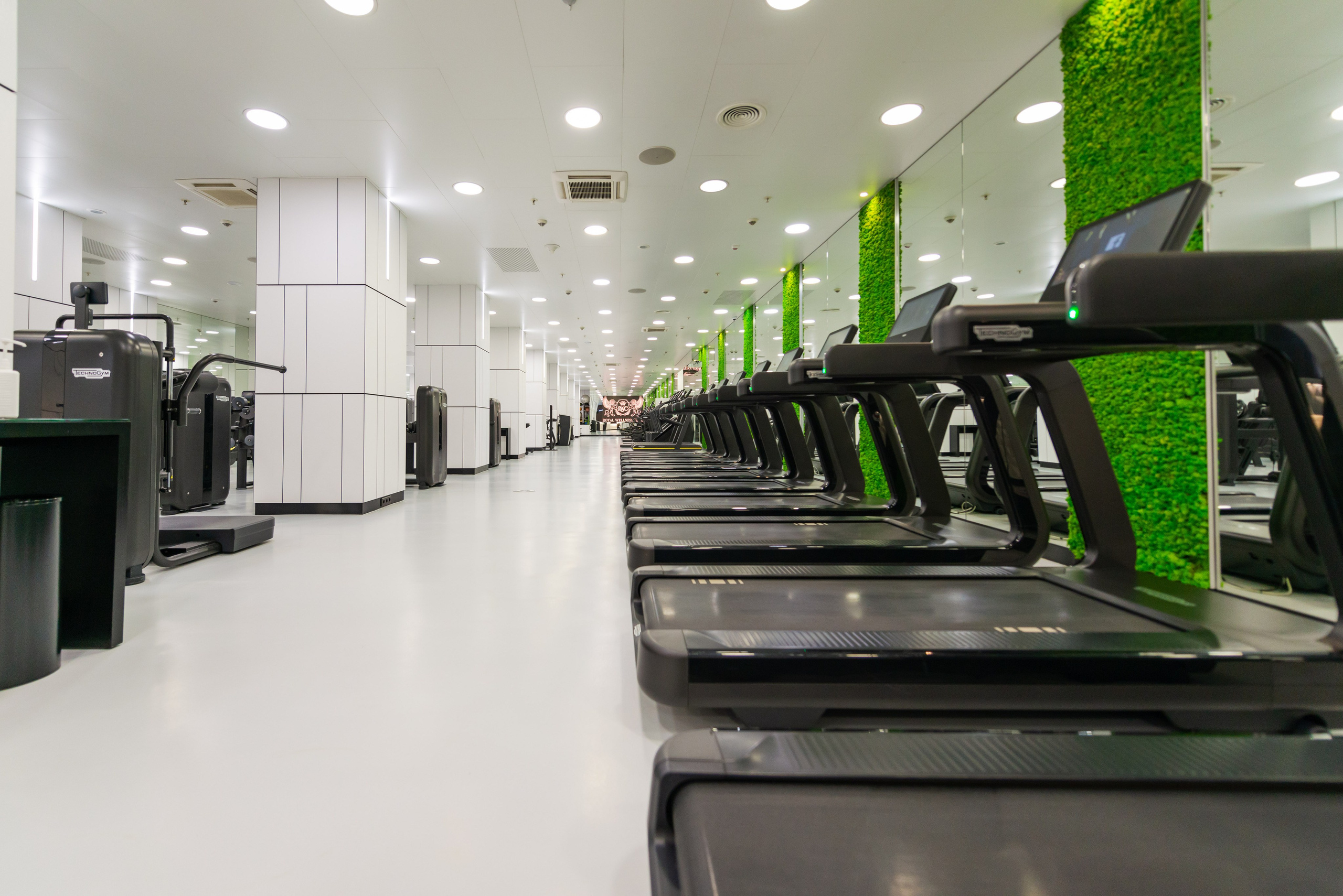 Fitness clubs. PHOTOGRAPHER QUINTANA ROO