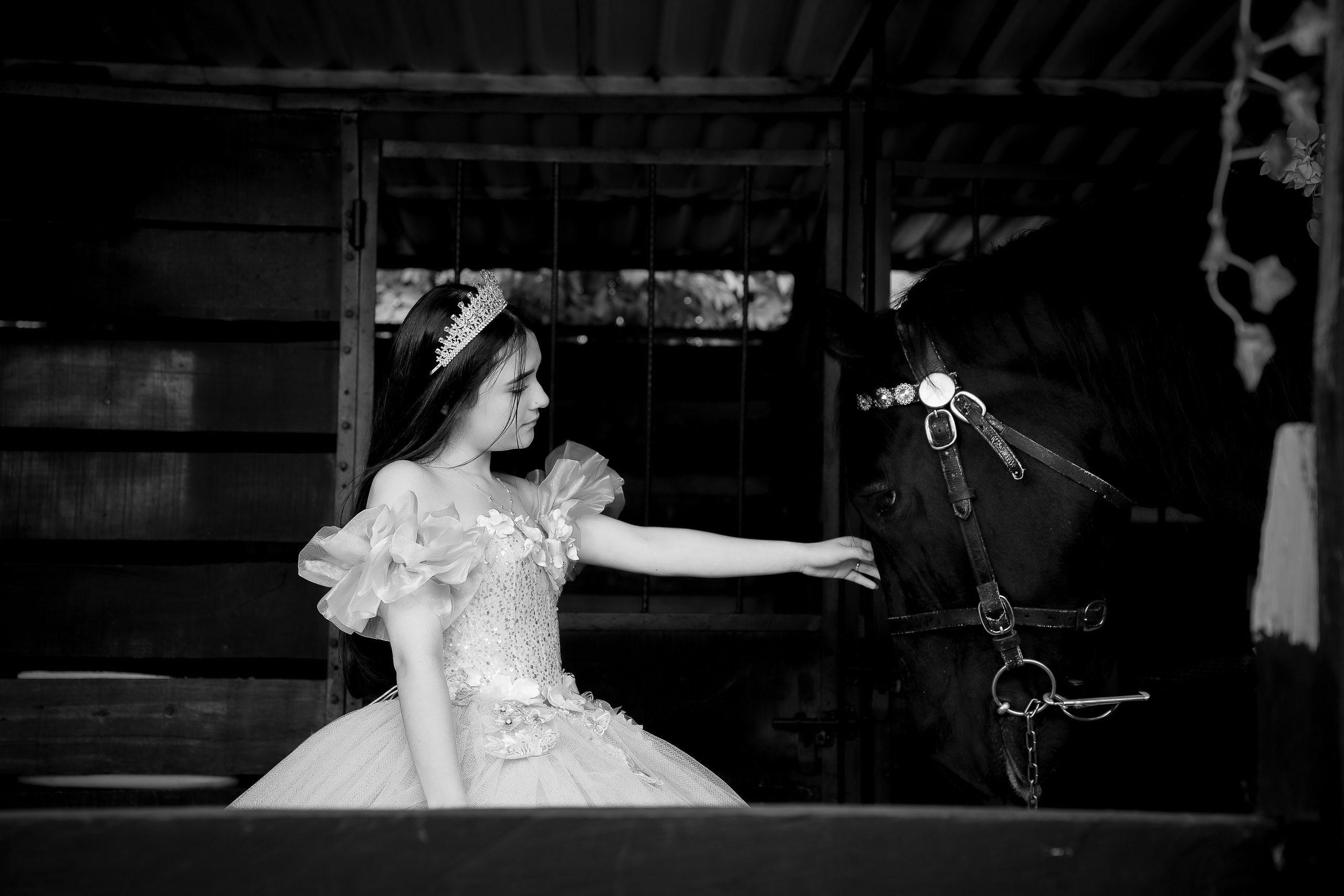Sesión de Quinceañera Laura en Bogotá | Fotos de 15 Años