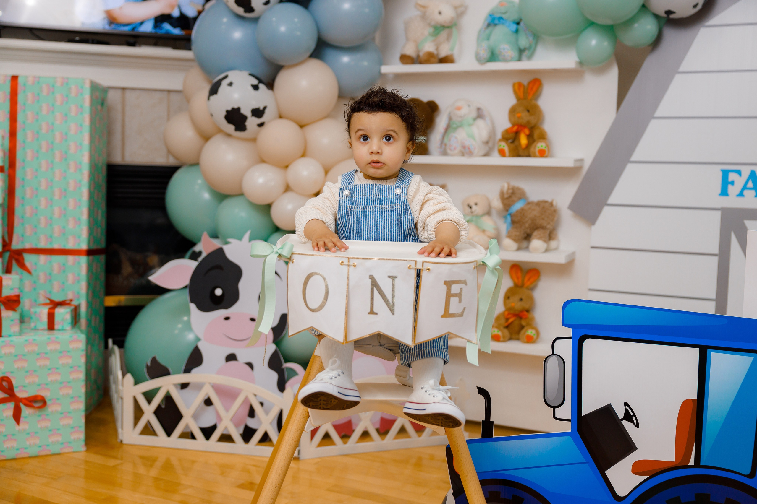 Fateh’s 1st birthday. Photographer Elvira Hryshchenko