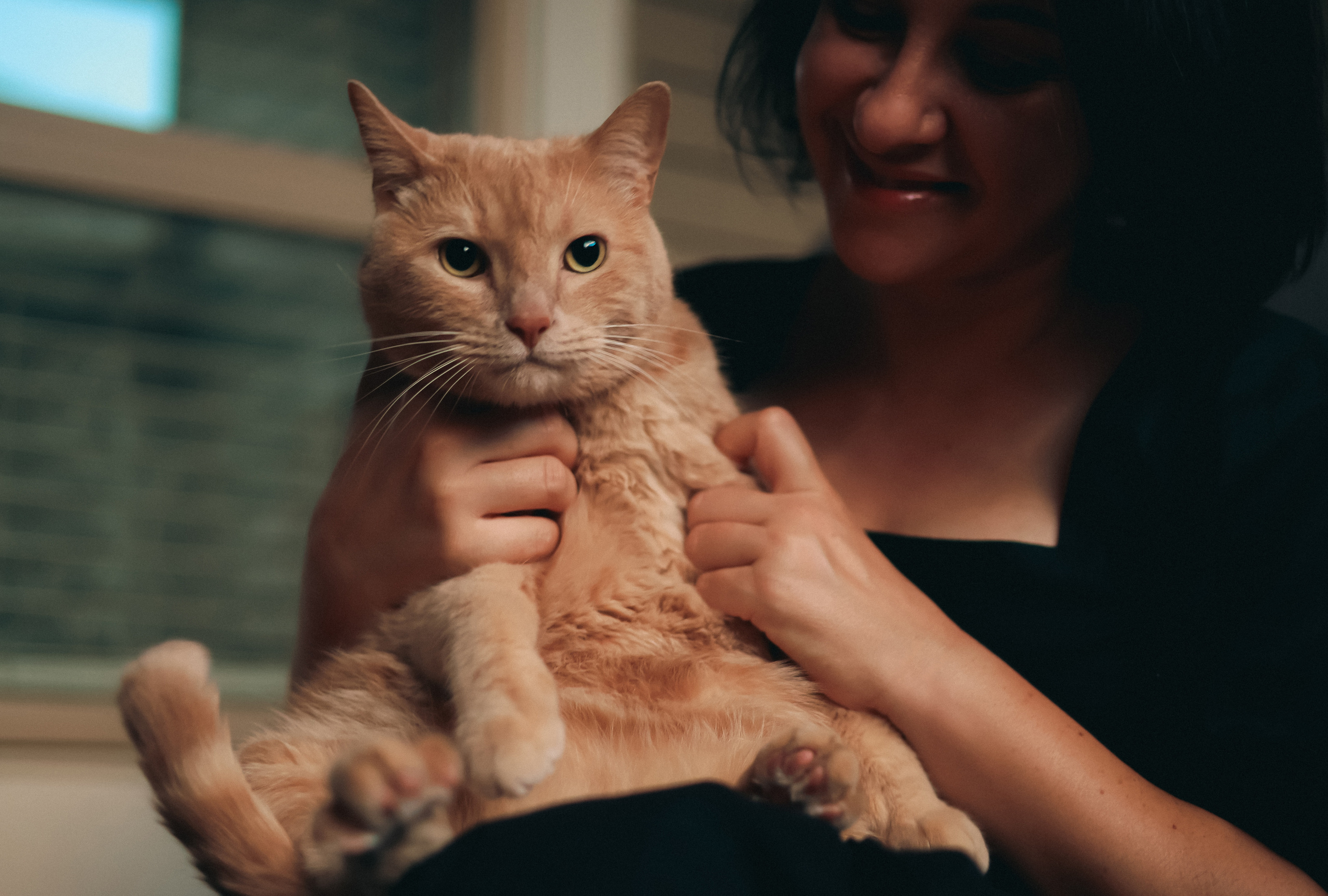 Individual photo session with a pet. Yana Bobrova | Artistic Photography