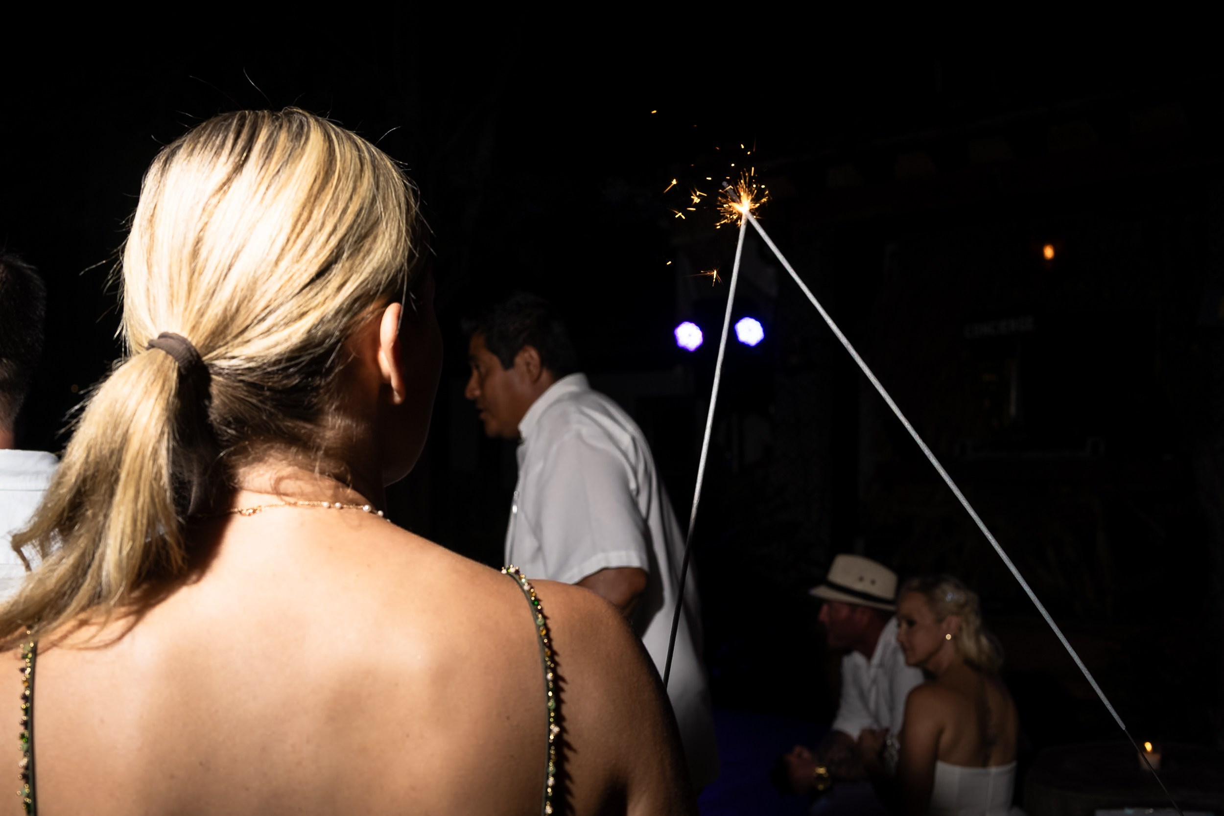 Aggie & Brian. Fotografía de Bodas Profesionales en Puerto Vallarta y Riviera Nayarit
