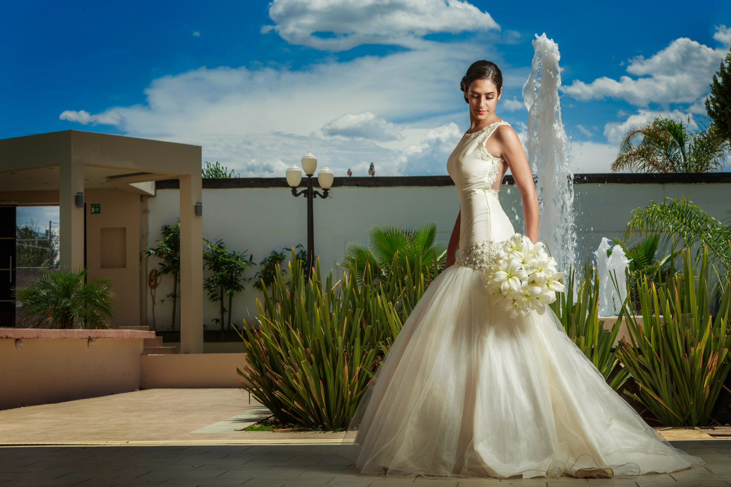 Bodas. Fotógrafo Profesional en Chihuahua, México — Alex Mendoza