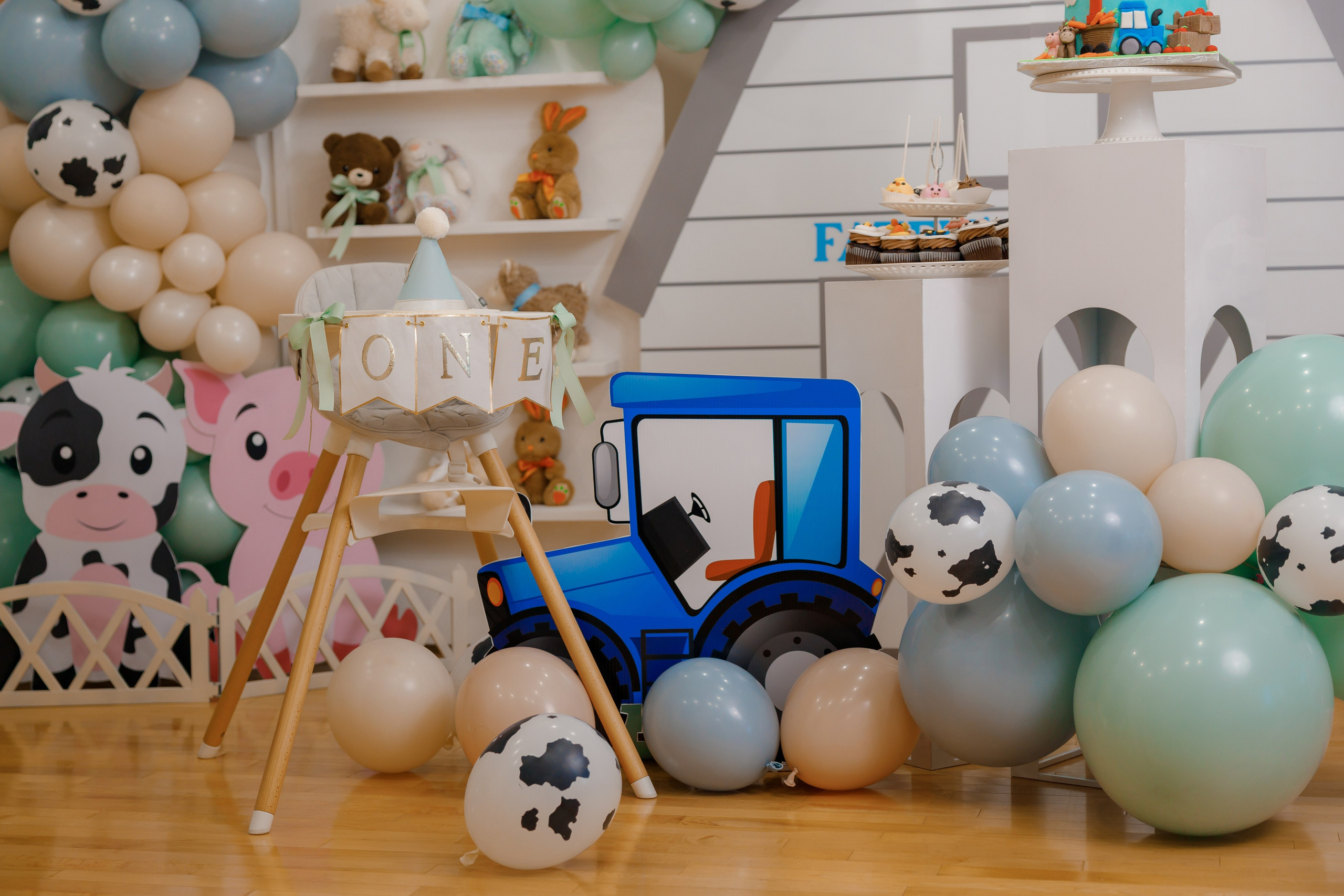 Fateh’s 1st birthday. Photographer Elvira Hryshchenko
