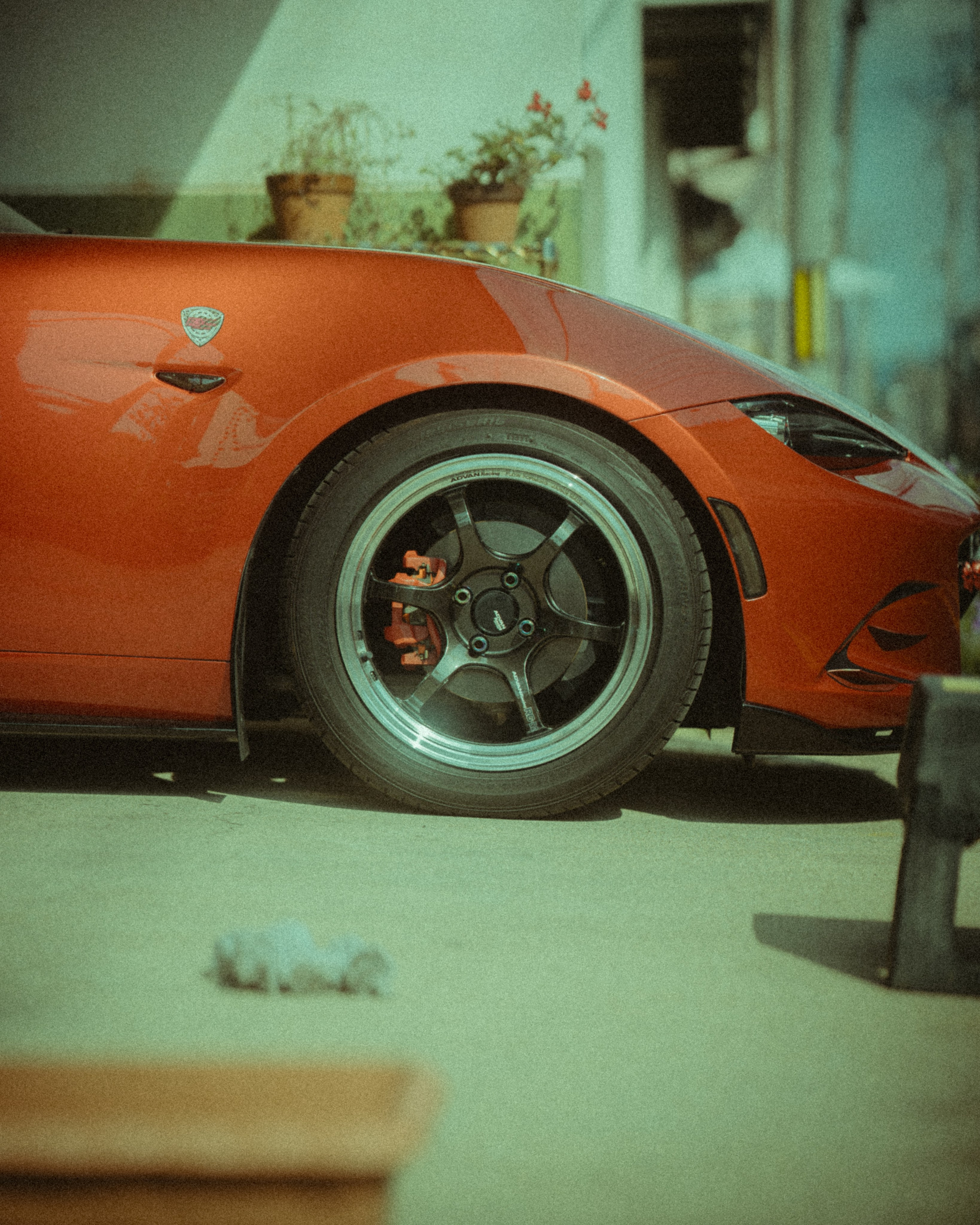 Cars. Senya JP