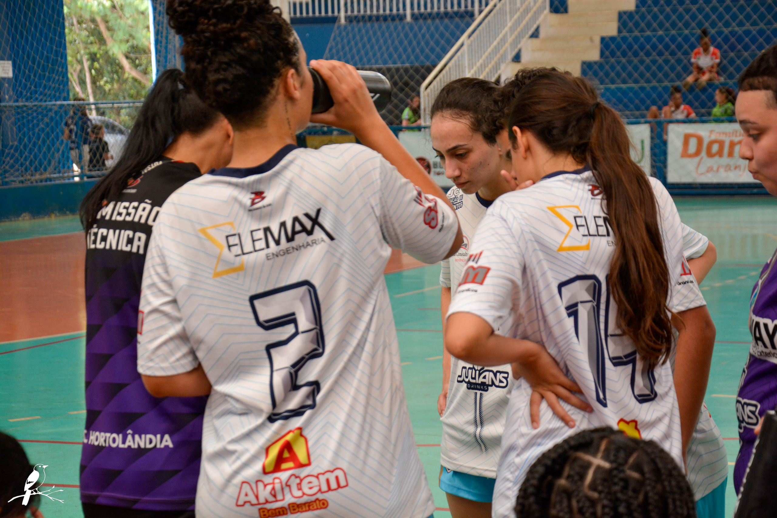 EC Hortolandia (Sub 18 — Sub 16). AerobirdStudios