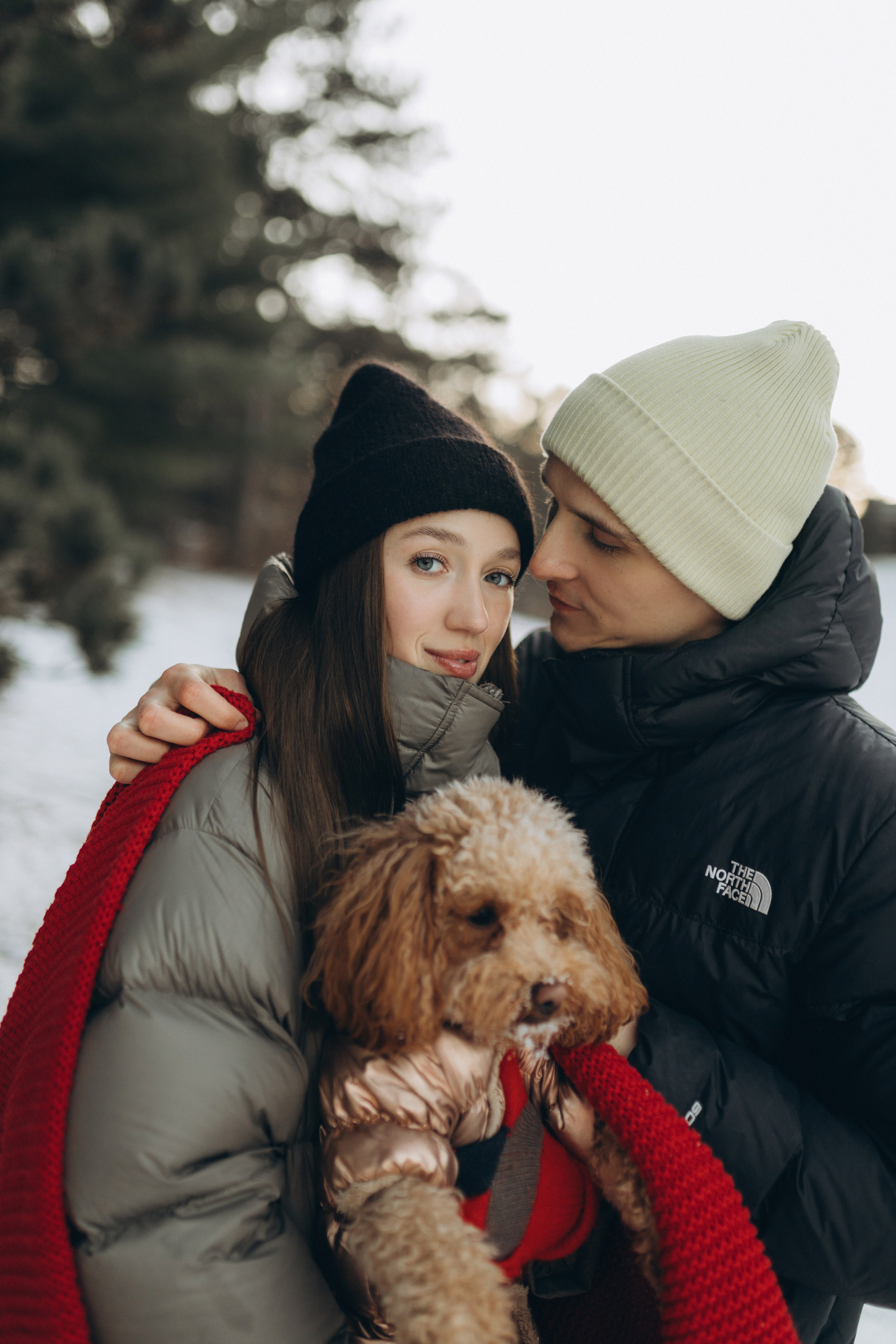 Winter magic. Chernenko.photography