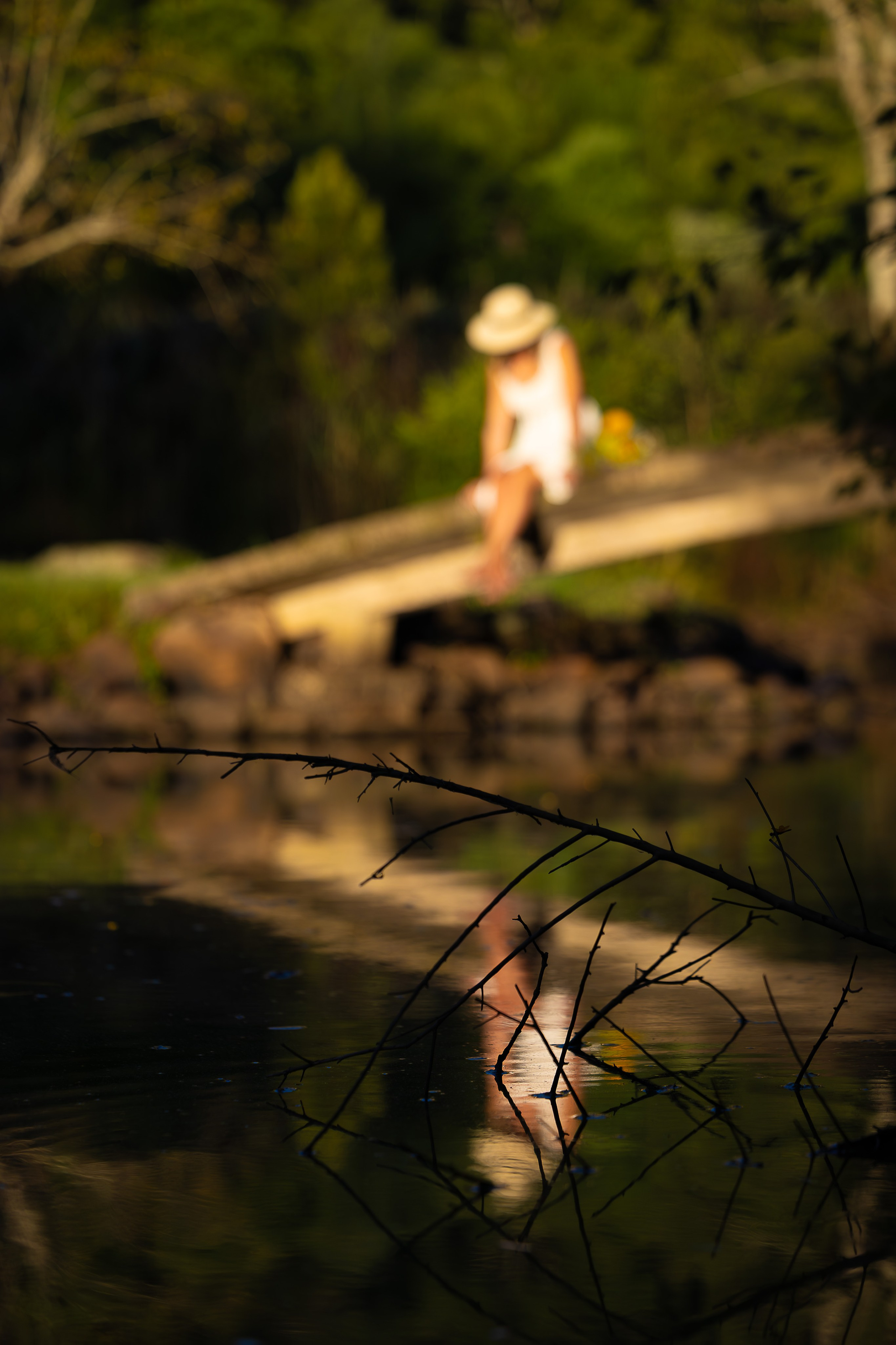 Essência e simplicidade. LucianoRP | Fotografia
