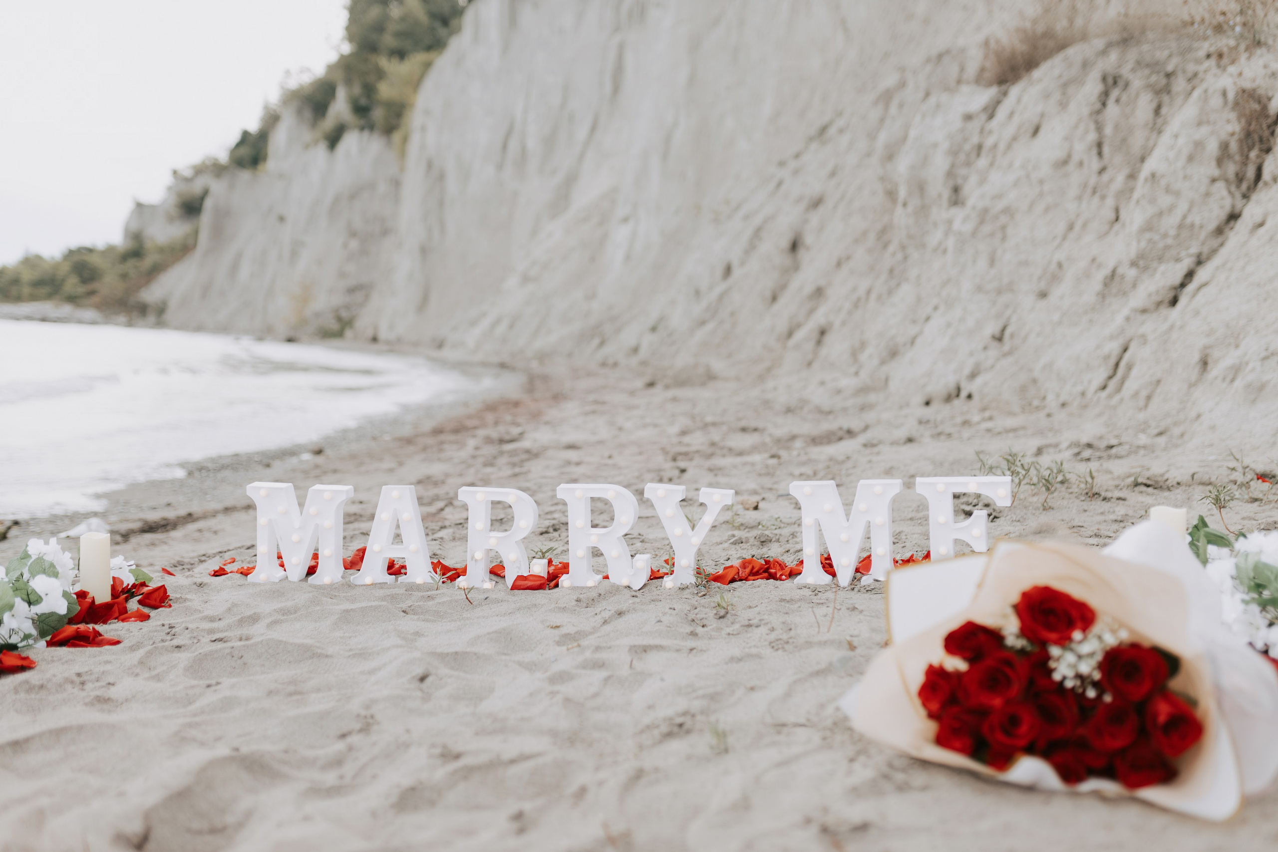 Proposal Scarborough Bluffs. Chernenko.photography