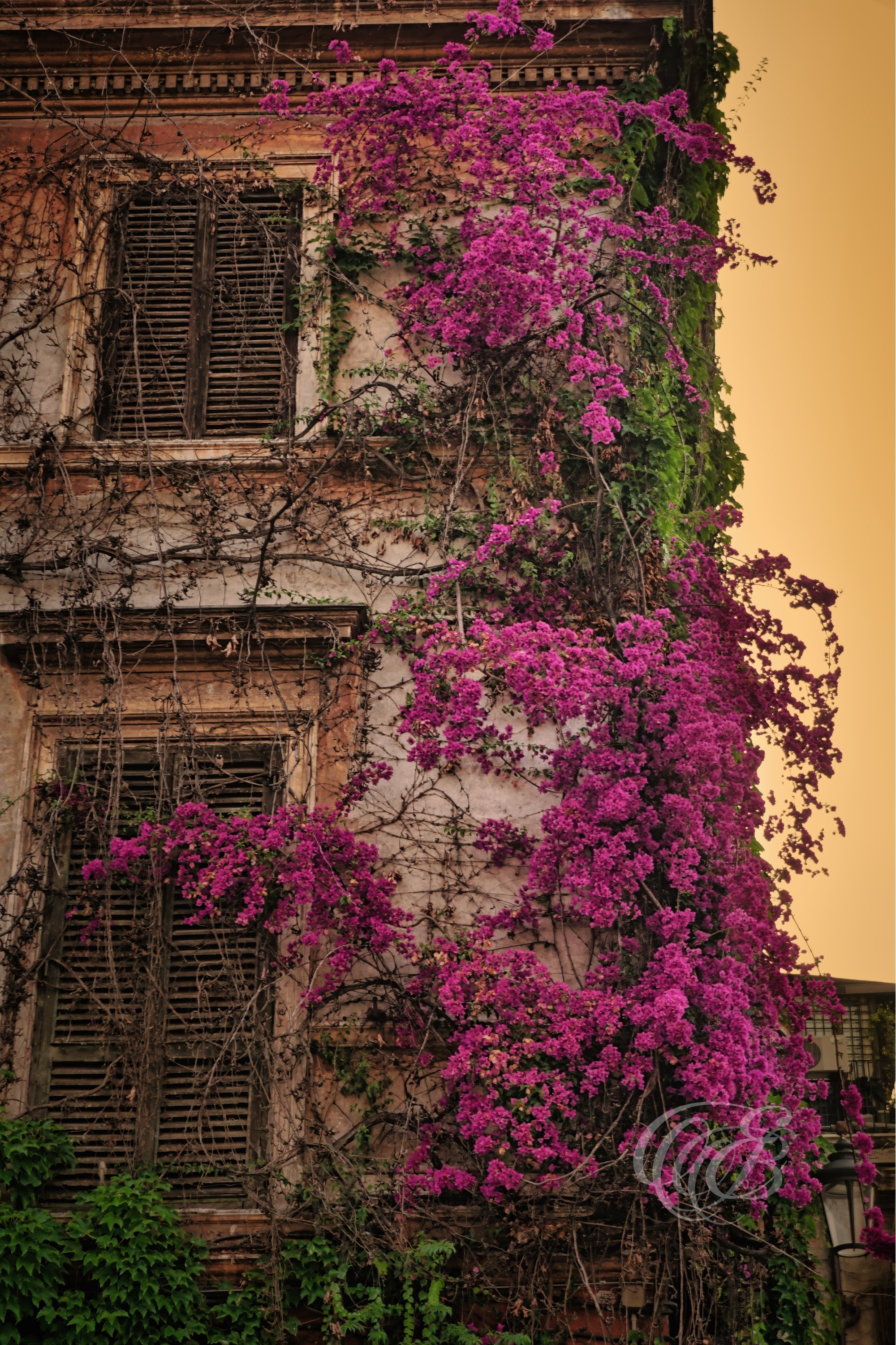 ITALY PHOTOGRAPHY — Trastevere at Dusk — View of Trastevere, one of Rome's oldest and most distinctive neighborhoods, celebrated for its historic streets, architecture, and enduring character, Rome, Italy — Eduardo Bartoli Photography.