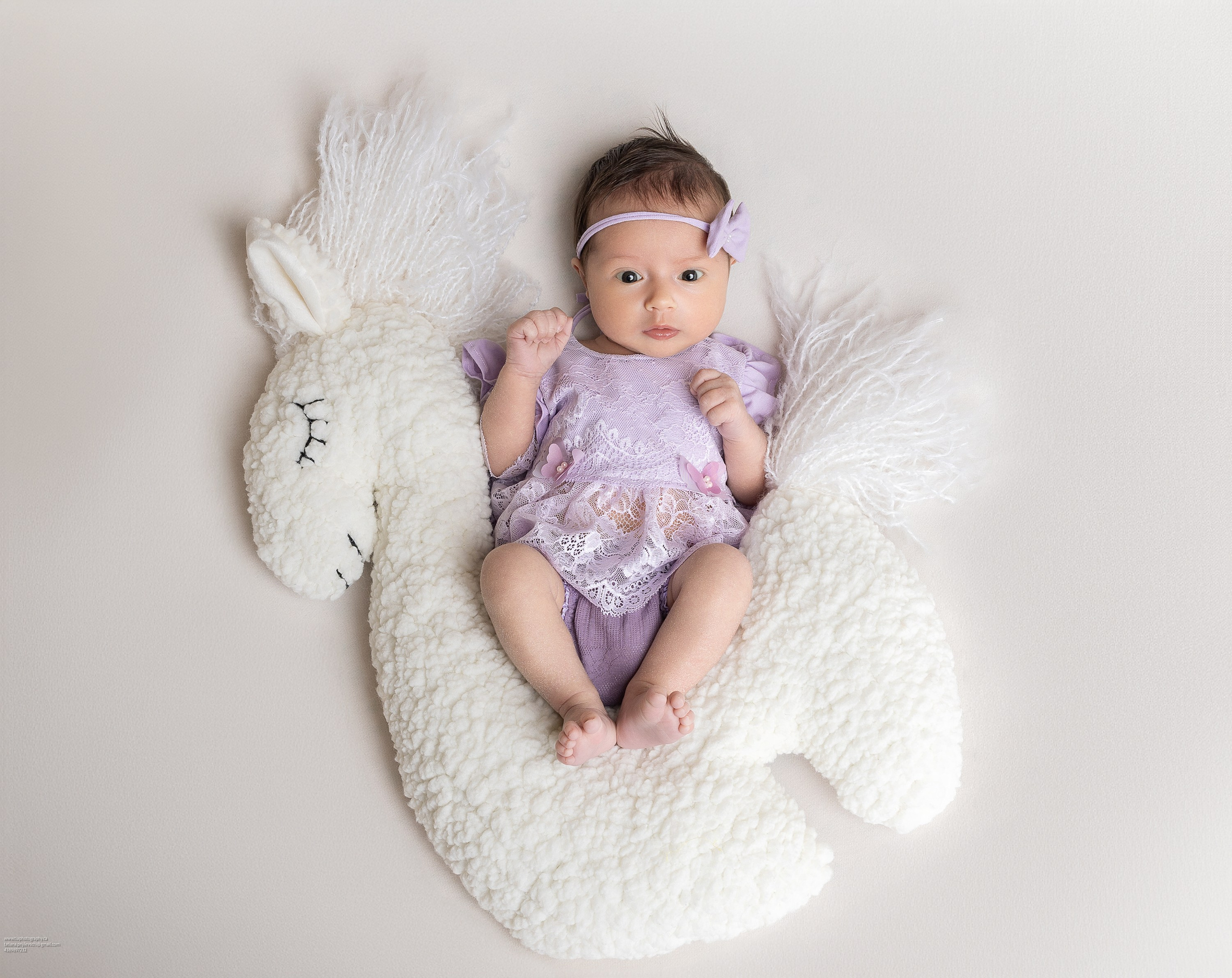 NEWBORN. Je suis photographe portraitiste et je réalise des portraits à toutes les étapes de votre vie! Bienvenue dans mon studio à Westmount, Qc