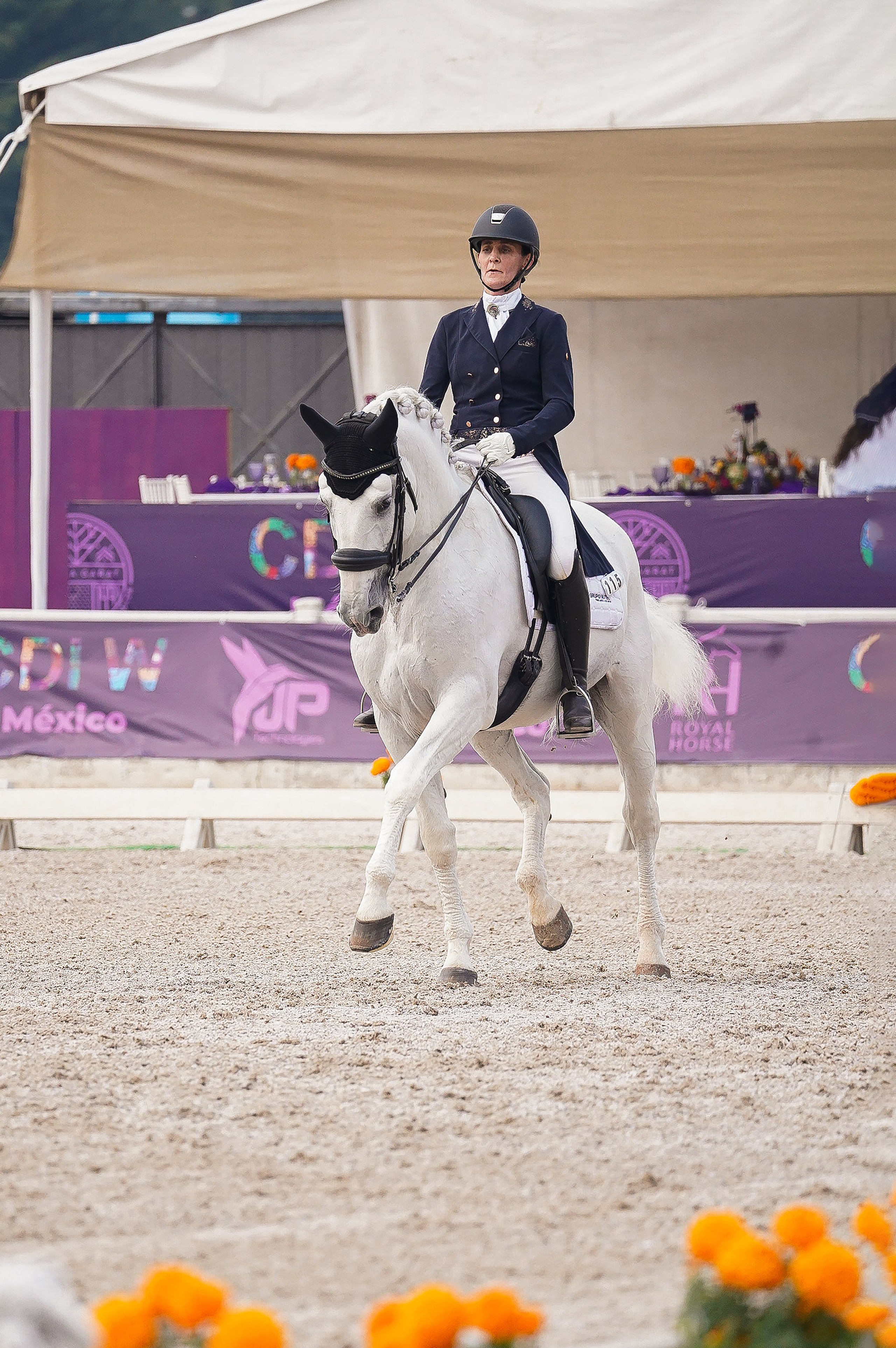 Vacation photoshoot in Mexico City. Capture your trip with a professional photographer. Horse riding dressage doma clasica show jumping Tour. Ekaterina Frolova photography