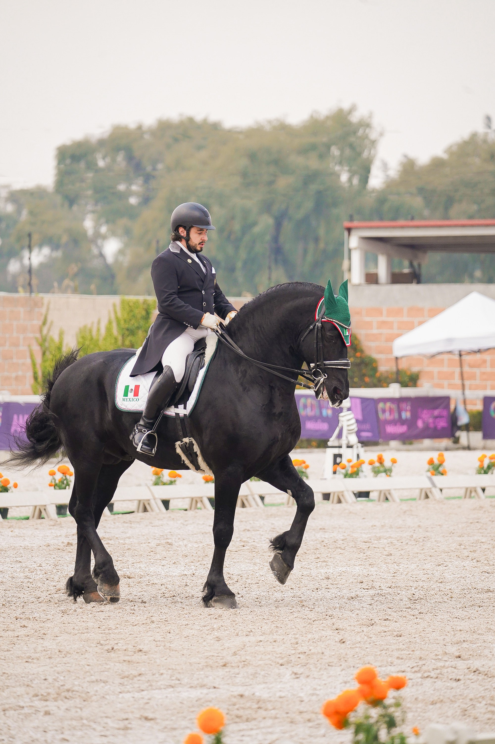 Vacation photoshoot in Mexico City. Capture your trip with a professional photographer. Horse riding dressage doma clasica show jumping Tour. Ekaterina Frolova photography