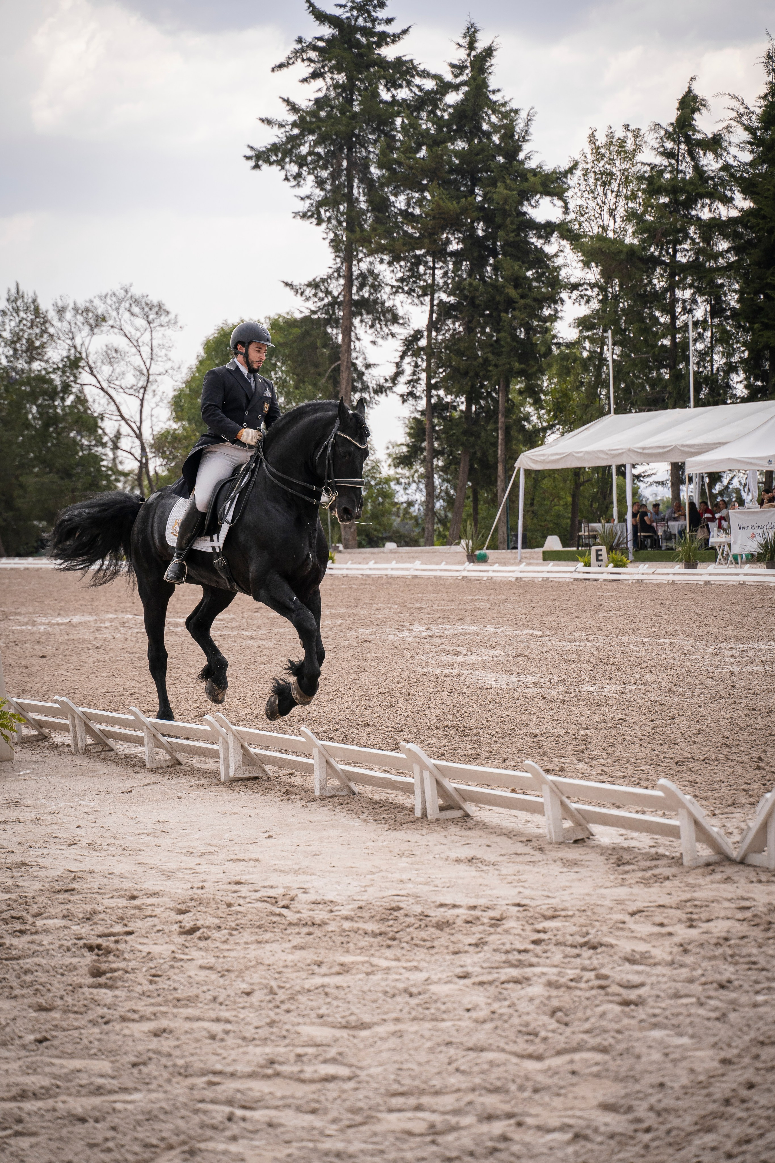 Vacation photoshoot in Mexico City. Capture your trip with a professional photographer. Horse riding dressage doma clasica show jumping Tour. Ekaterina Frolova photography