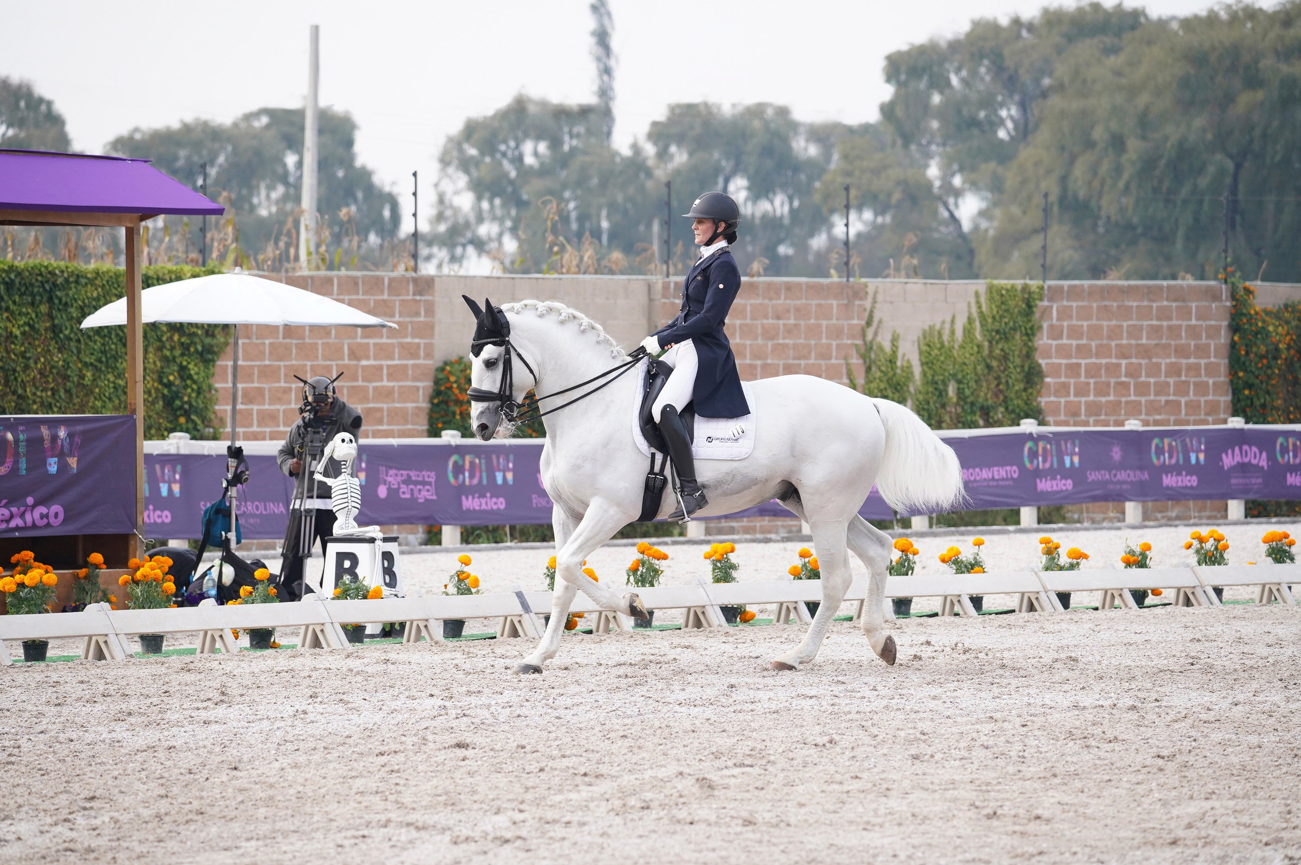 Vacation photoshoot in Mexico City. Capture your trip with a professional photographer. Horse riding dressage doma clasica show jumping Tour. Ekaterina Frolova photography