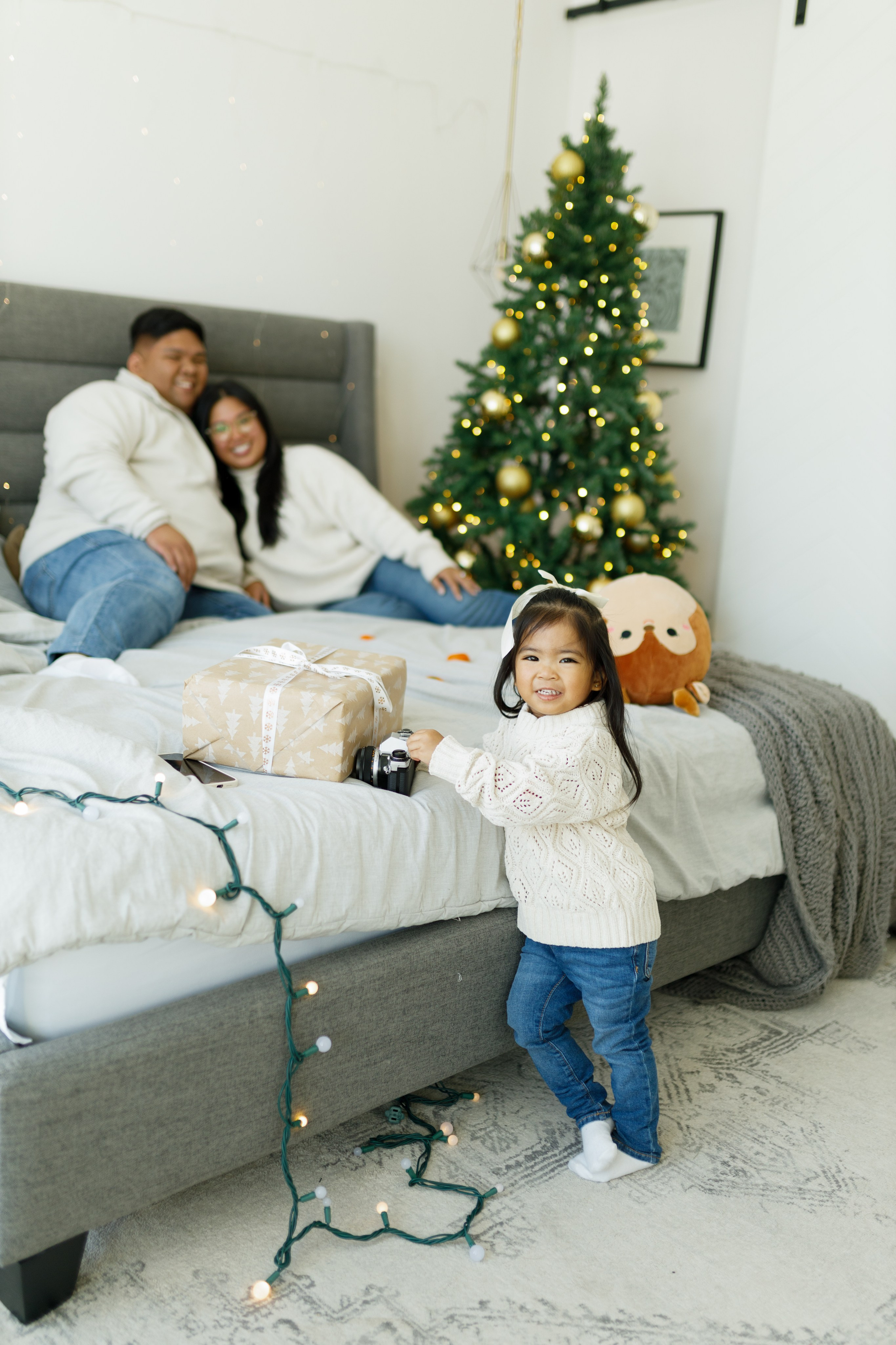 Christmas minis 2026. Photographer Elvira Hryshchenko