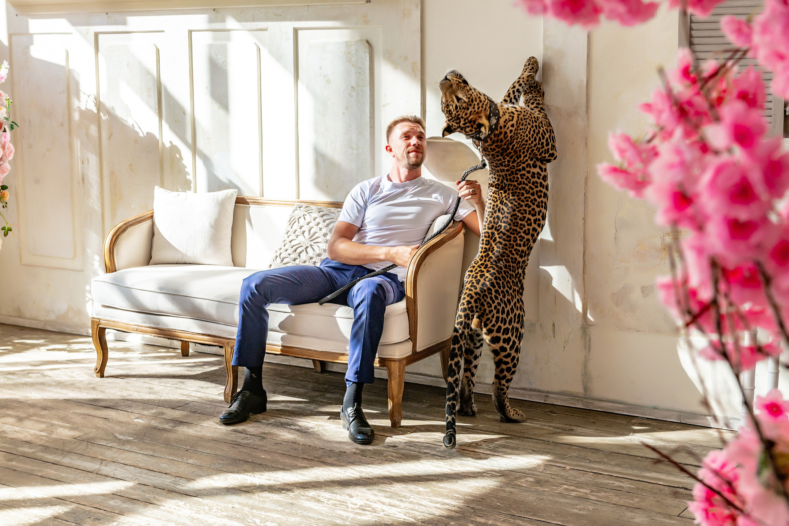 Photosession in the studio with a leopard. PHOTOGRAPHER QUINTANA ROO