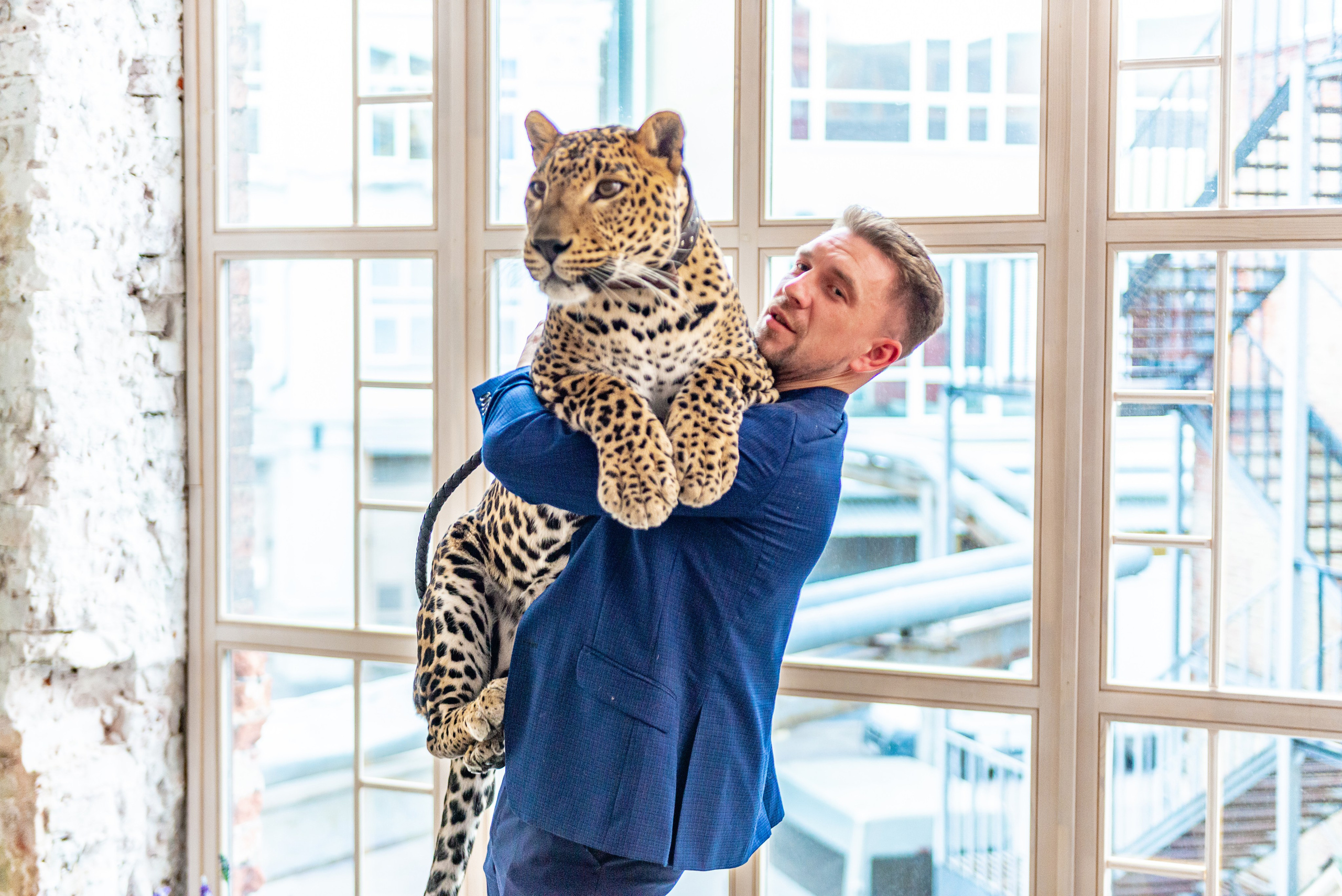Photosession in the studio with a leopard. PHOTOGRAPHER QUINTANA ROO