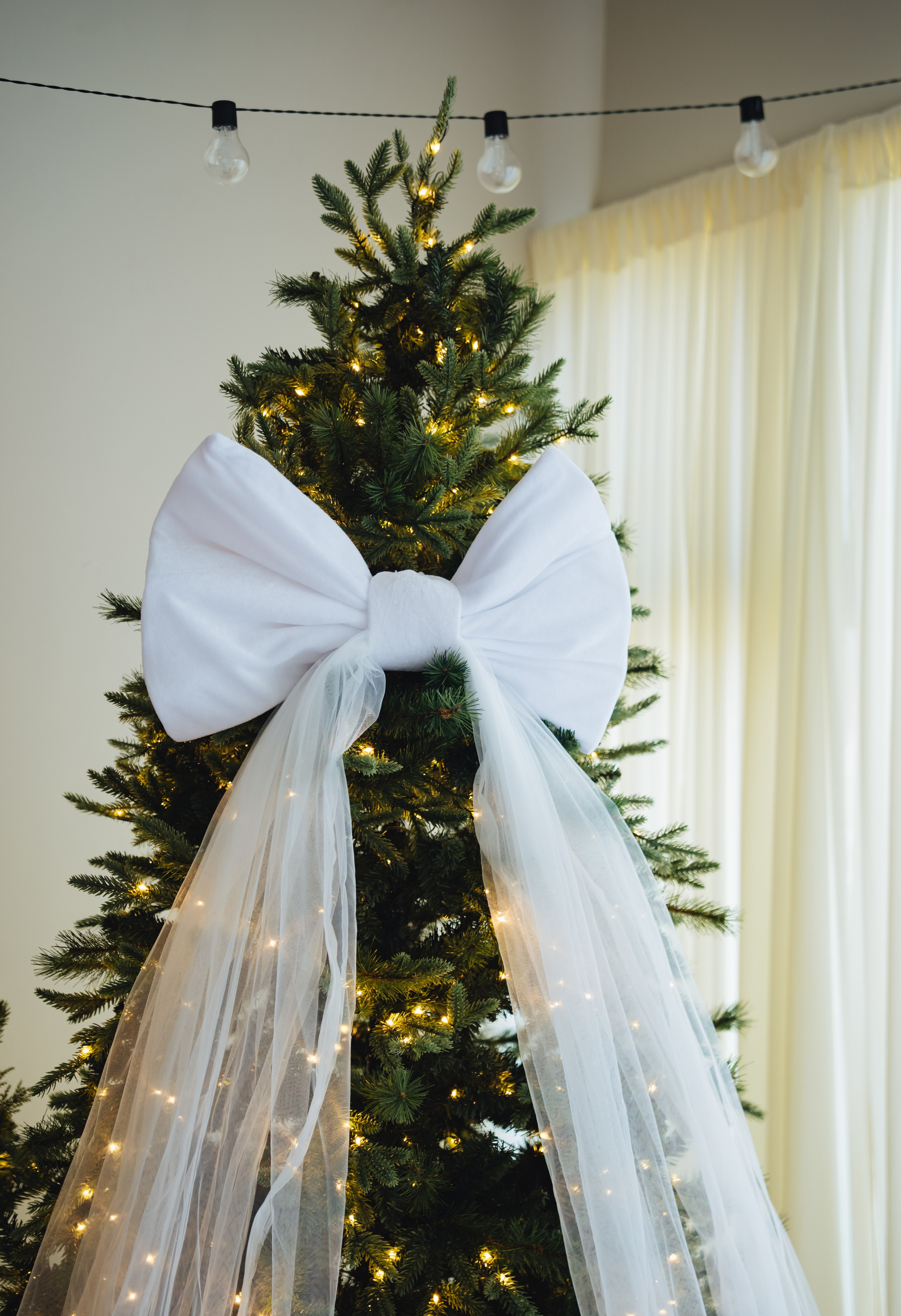CHRISTMAS MINI SESSION. Vancouver Photographer | Catherine Vashchenko