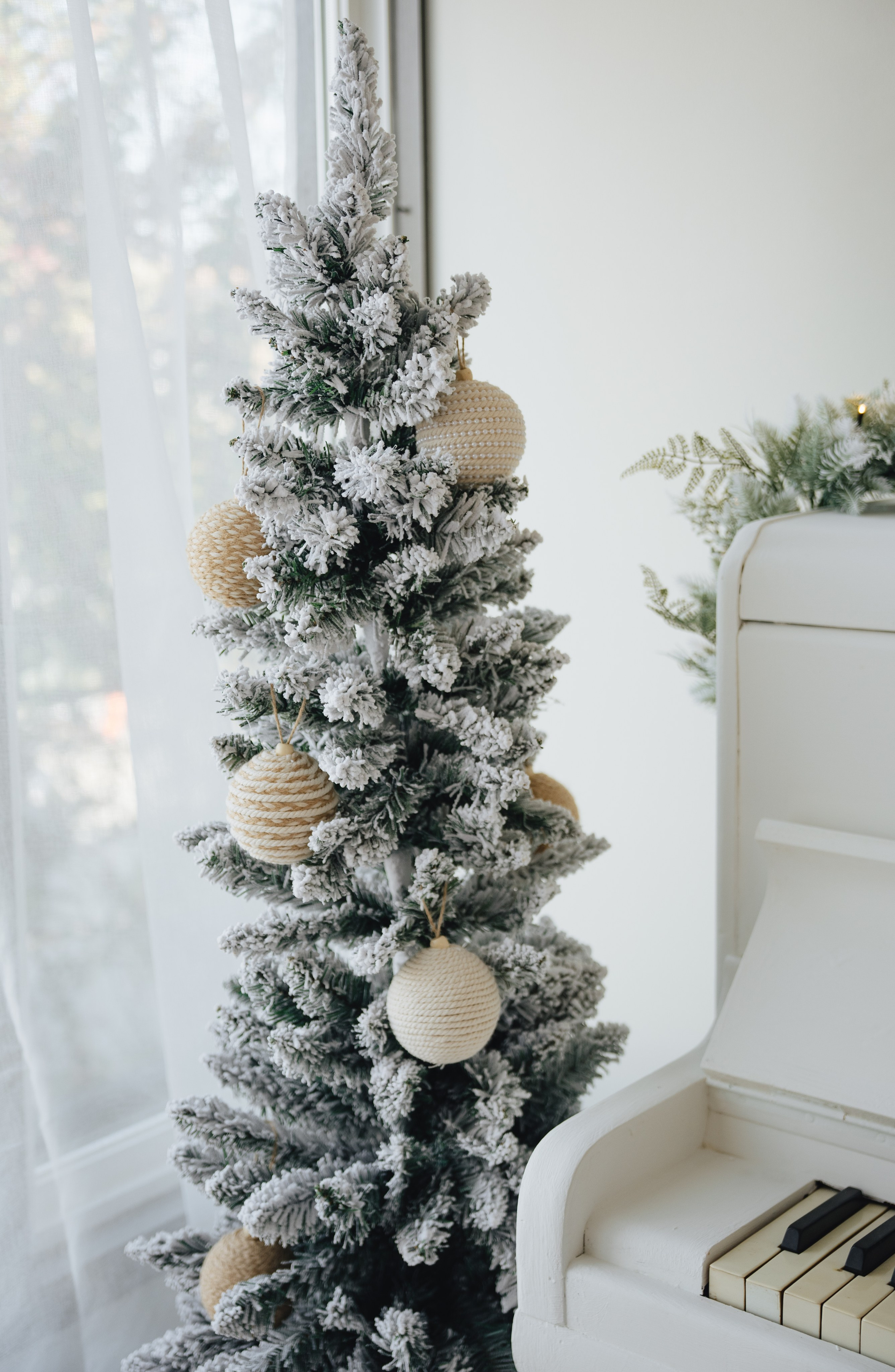 CHRISTMAS MINI SESSION. Vancouver Photographer | Catherine Vashchenko