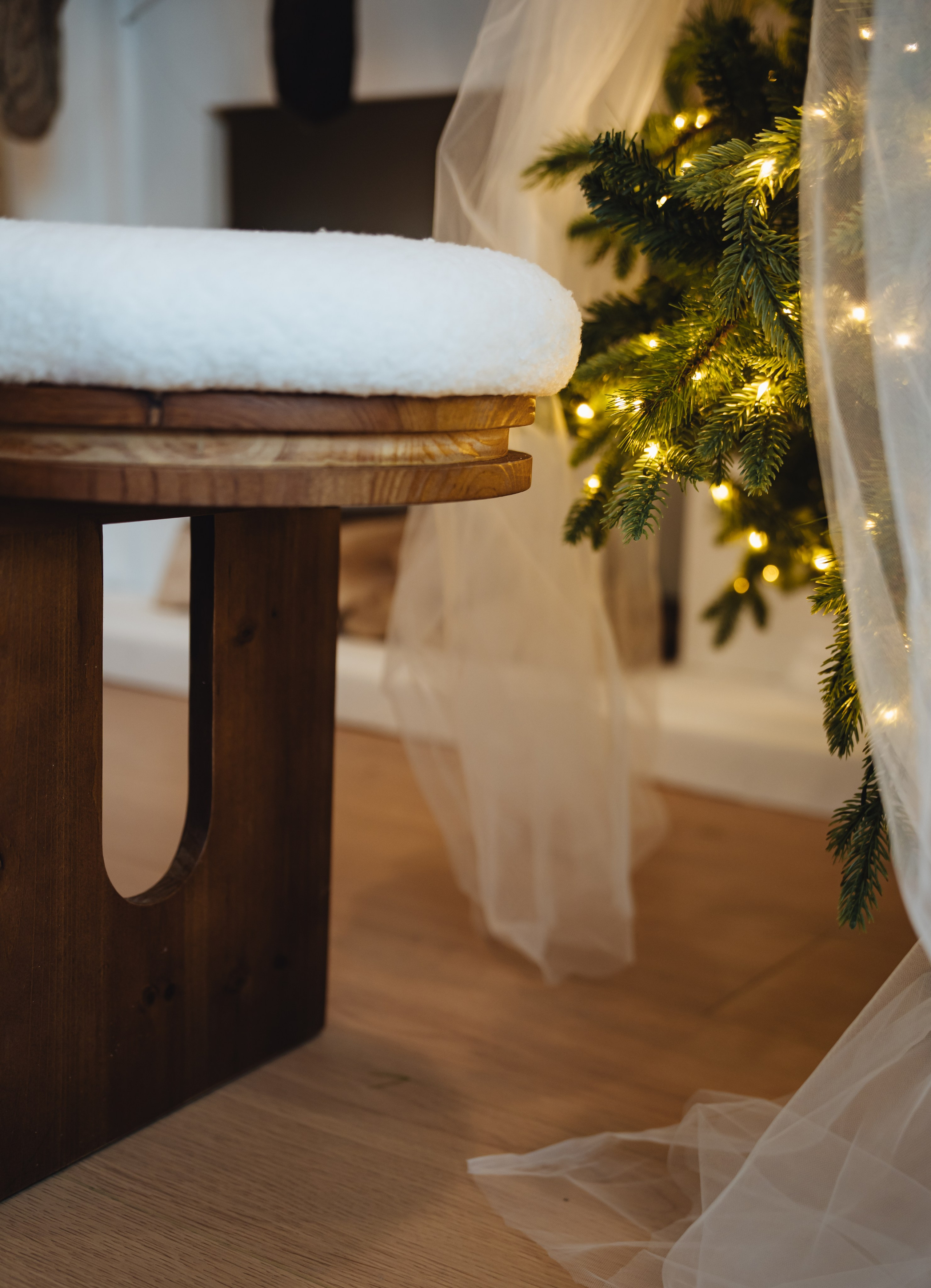 CHRISTMAS MINI SESSION. Vancouver Photographer | Catherine Vashchenko